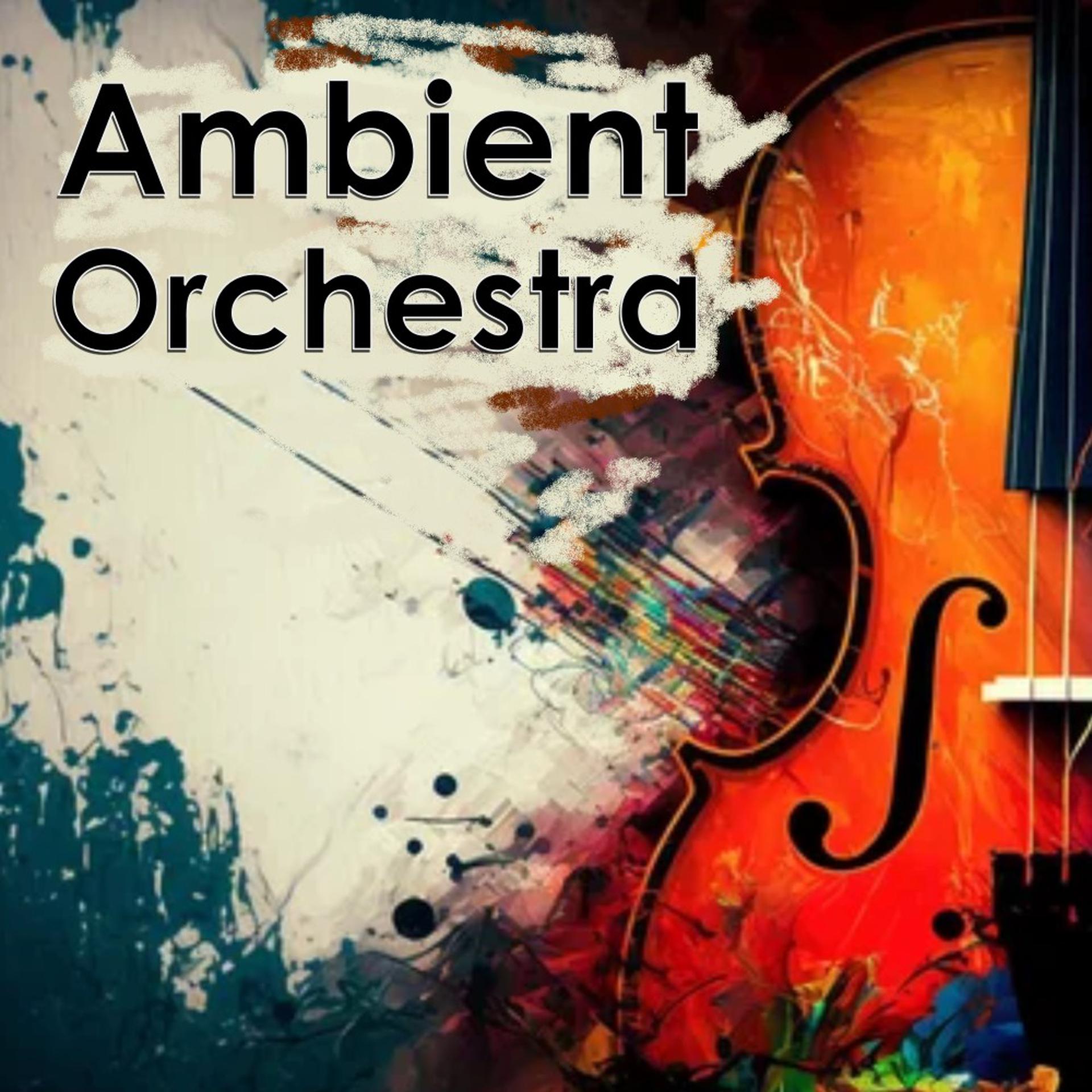 Постер альбома Ambient Orchestra