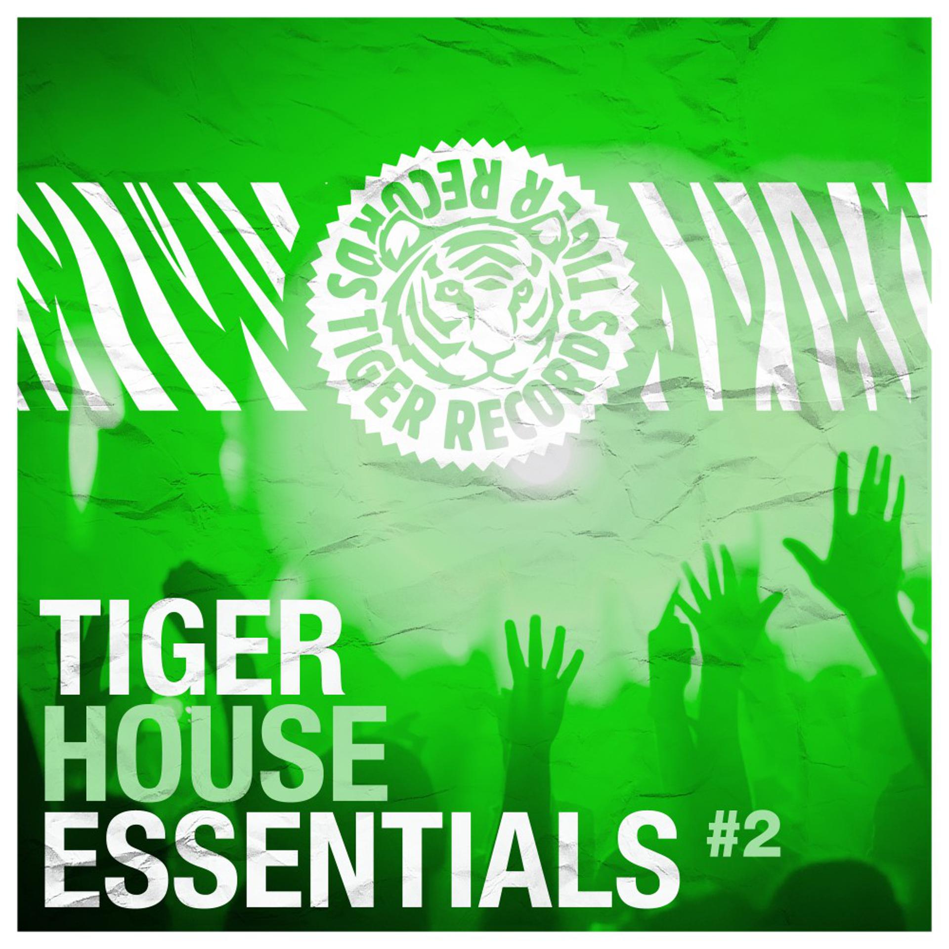 Постер альбома Tiger House Essentials, Vol. 2