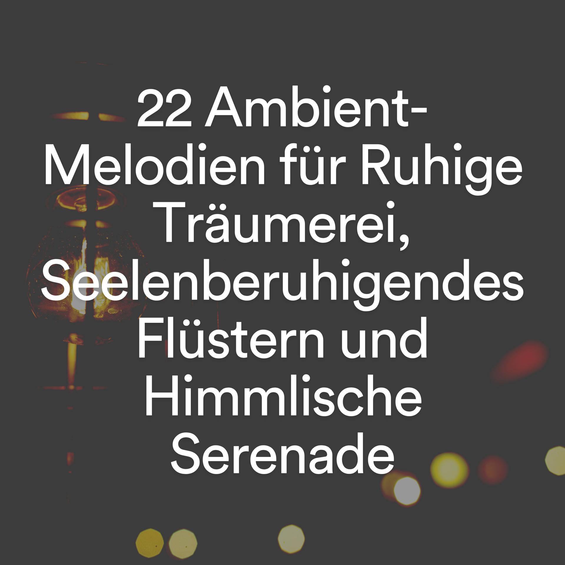 Постер альбома 22 ambient-melodien für ruhige träumerei, seelenberuhigendes flüstern und himmlische Serenade