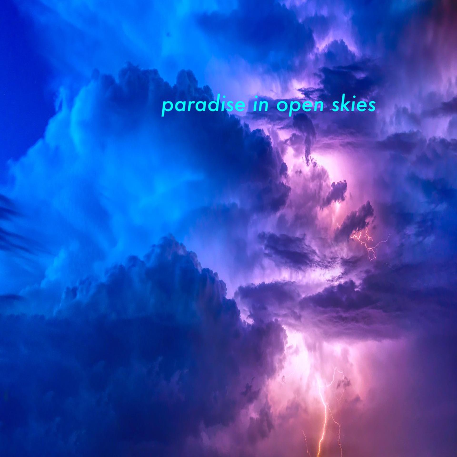 Постер альбома Paradise in Open Skies