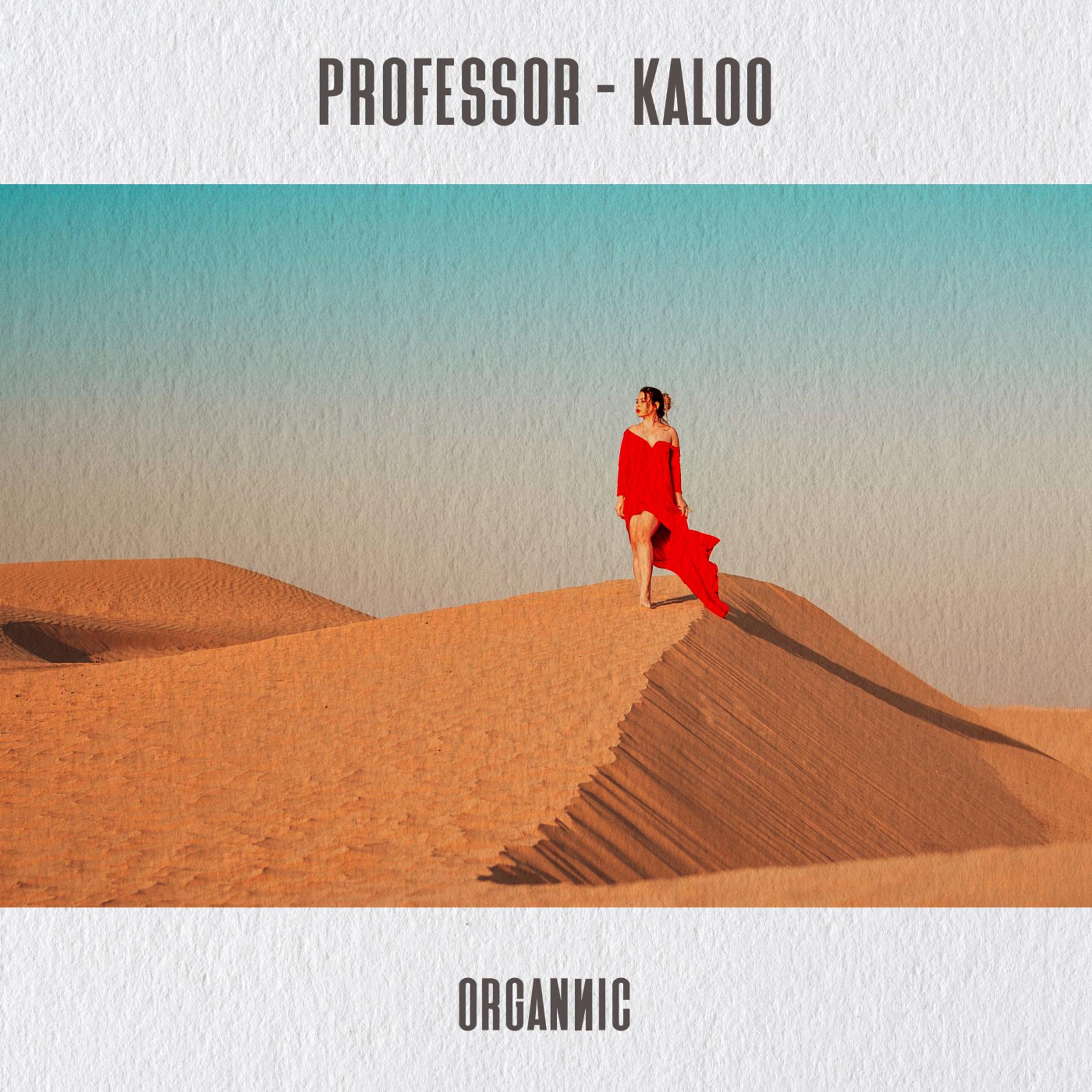 Постер альбома Kaloo