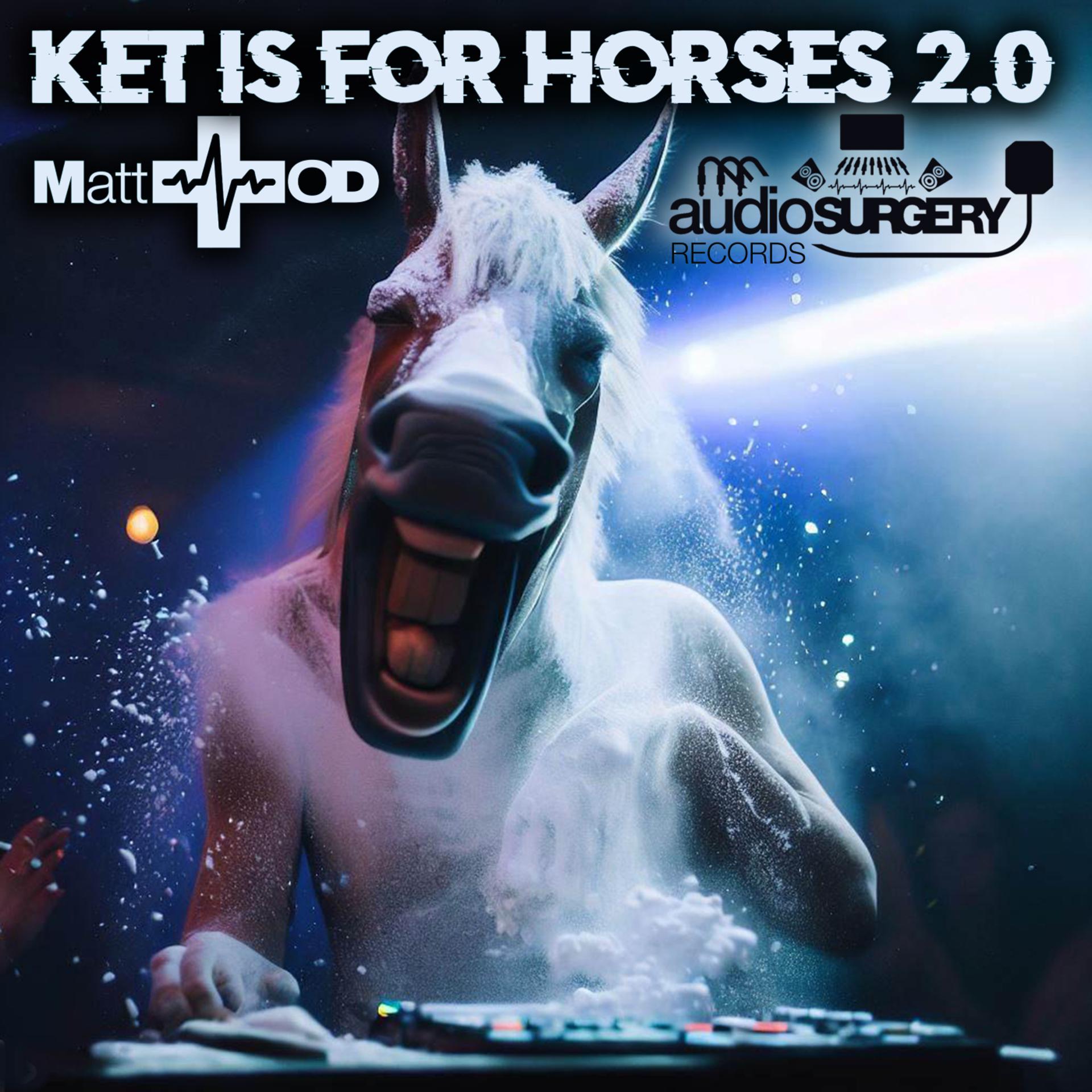 Постер альбома Ket Is for Horses 2.0