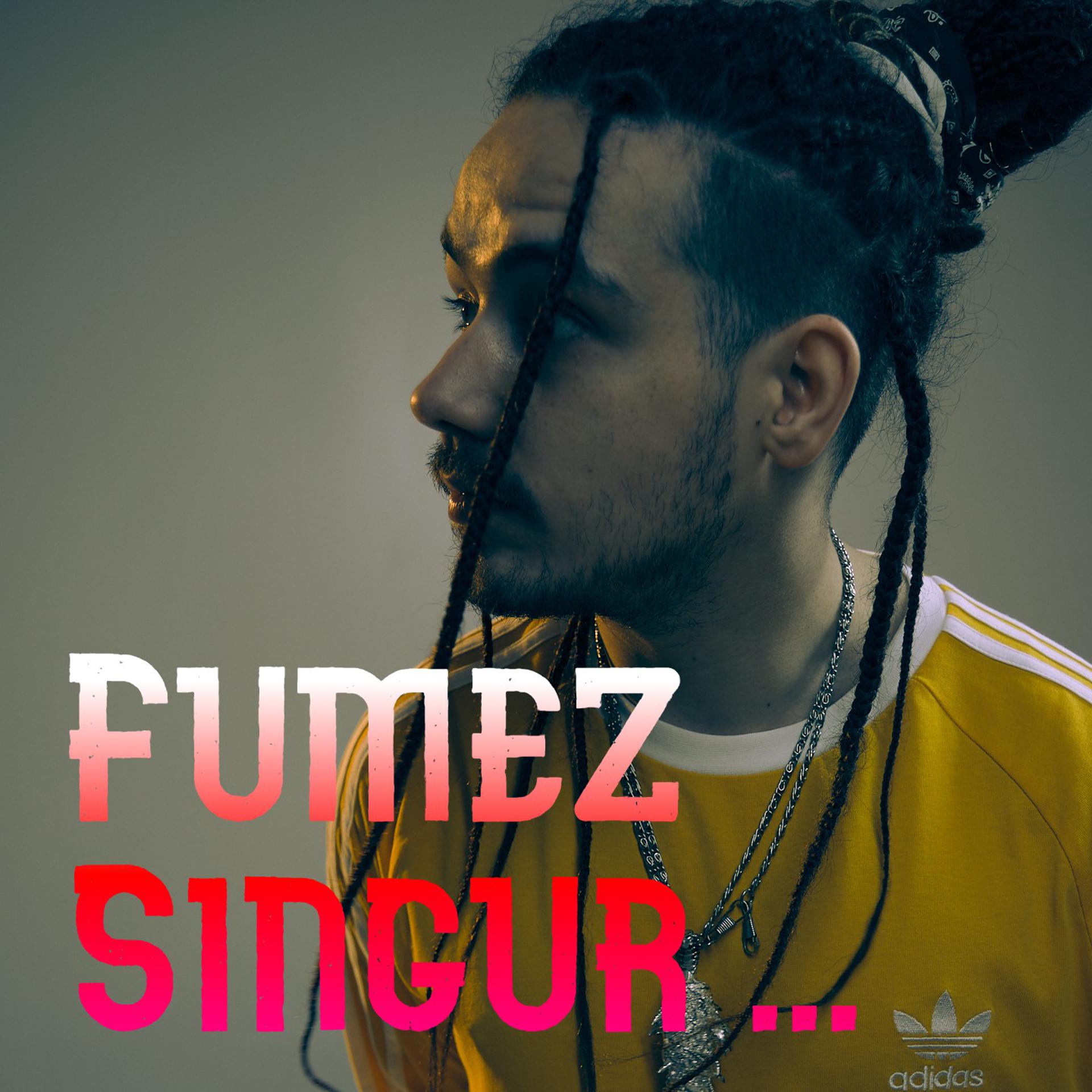 Постер альбома Fumez singur