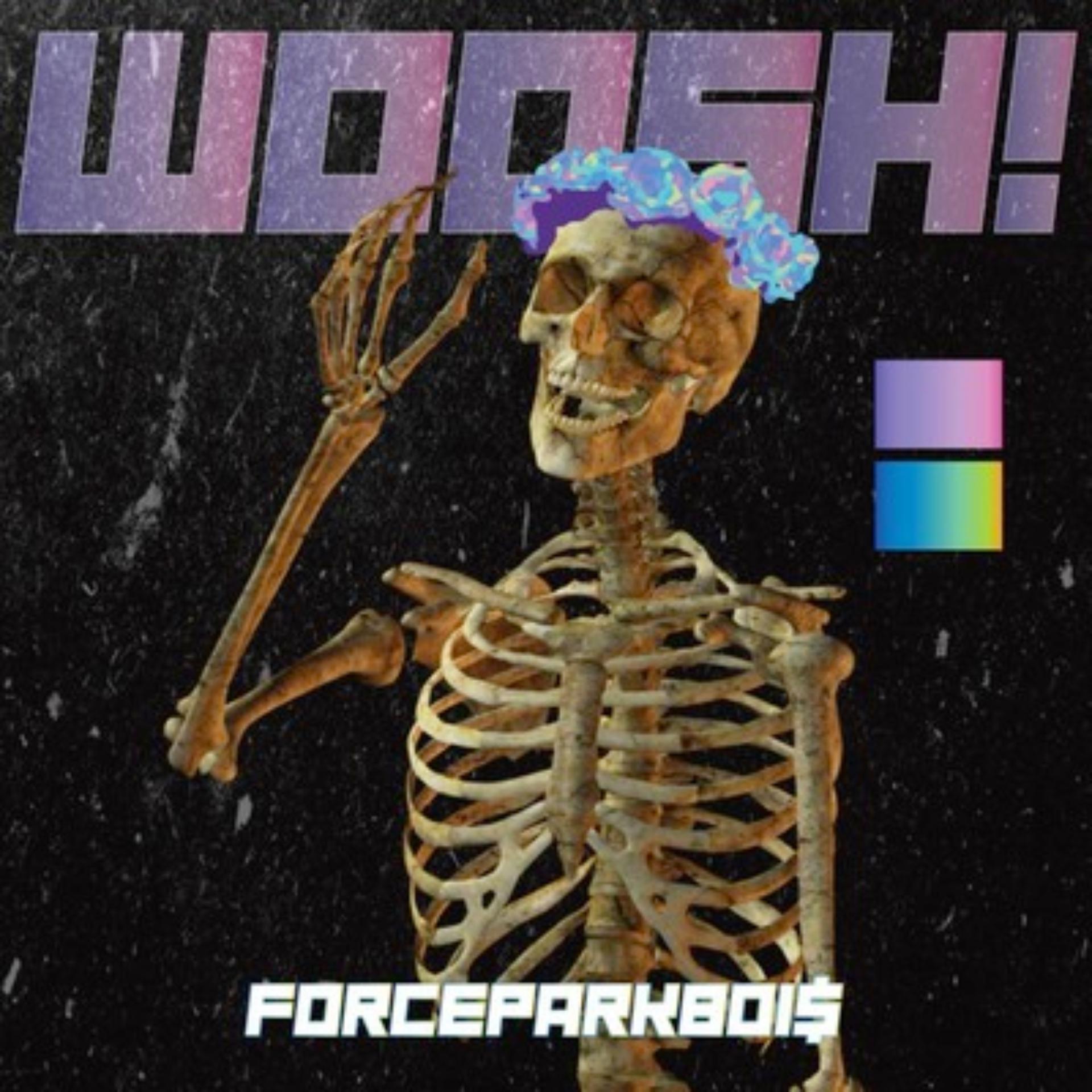 Постер альбома WOOSH!