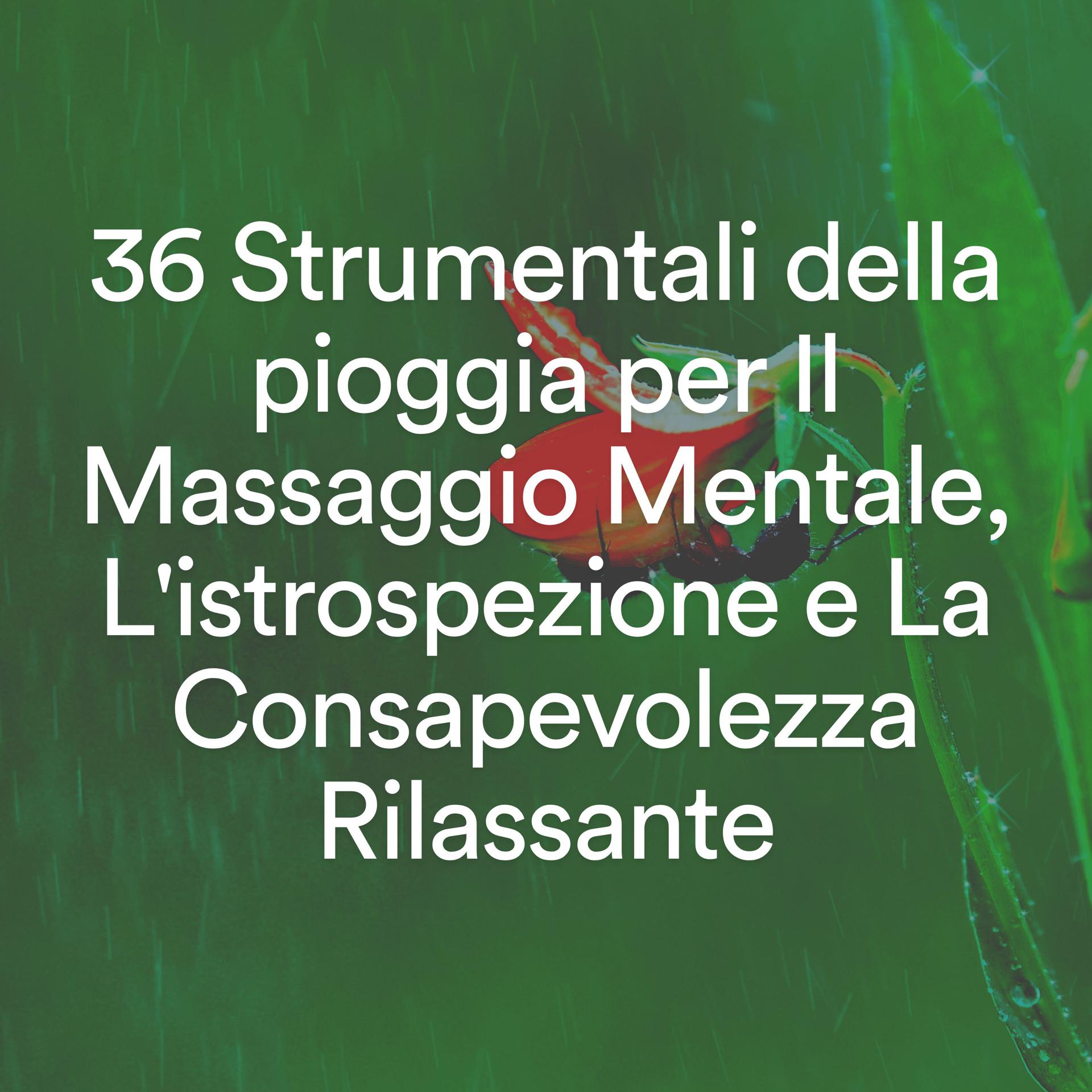 Постер альбома 36 Strumentali della pioggia per Il Massaggio Mentale, L'istrospezione e La Consapevolezza Rilassante