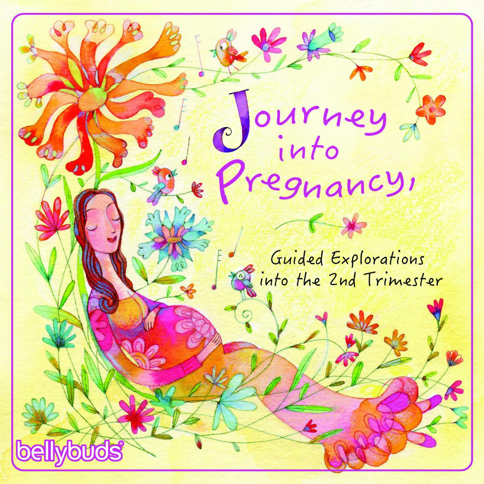 Постер альбома Journey into Pregnancy, Guided Explorations into the 2nd Trimester