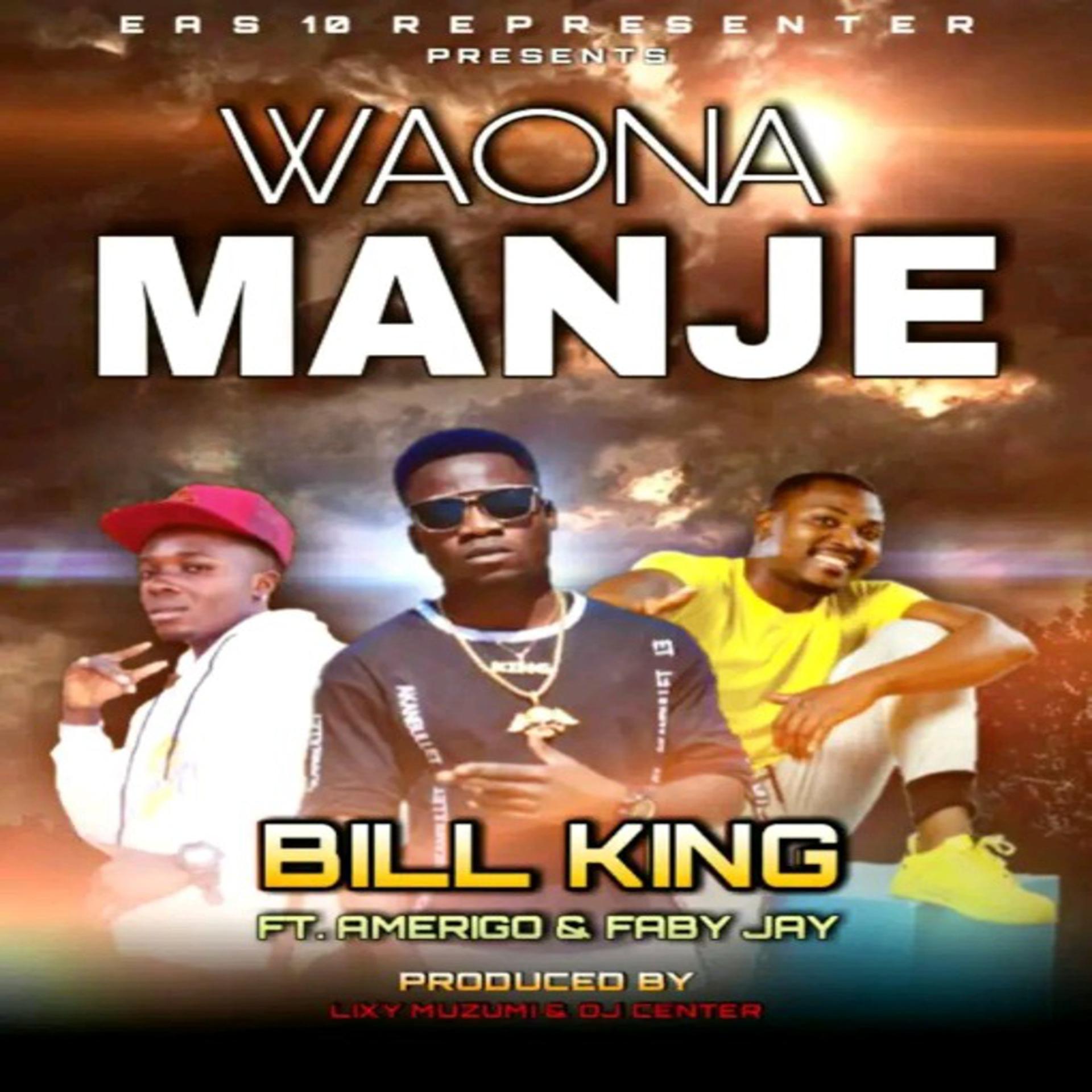 Постер альбома Waona Manje