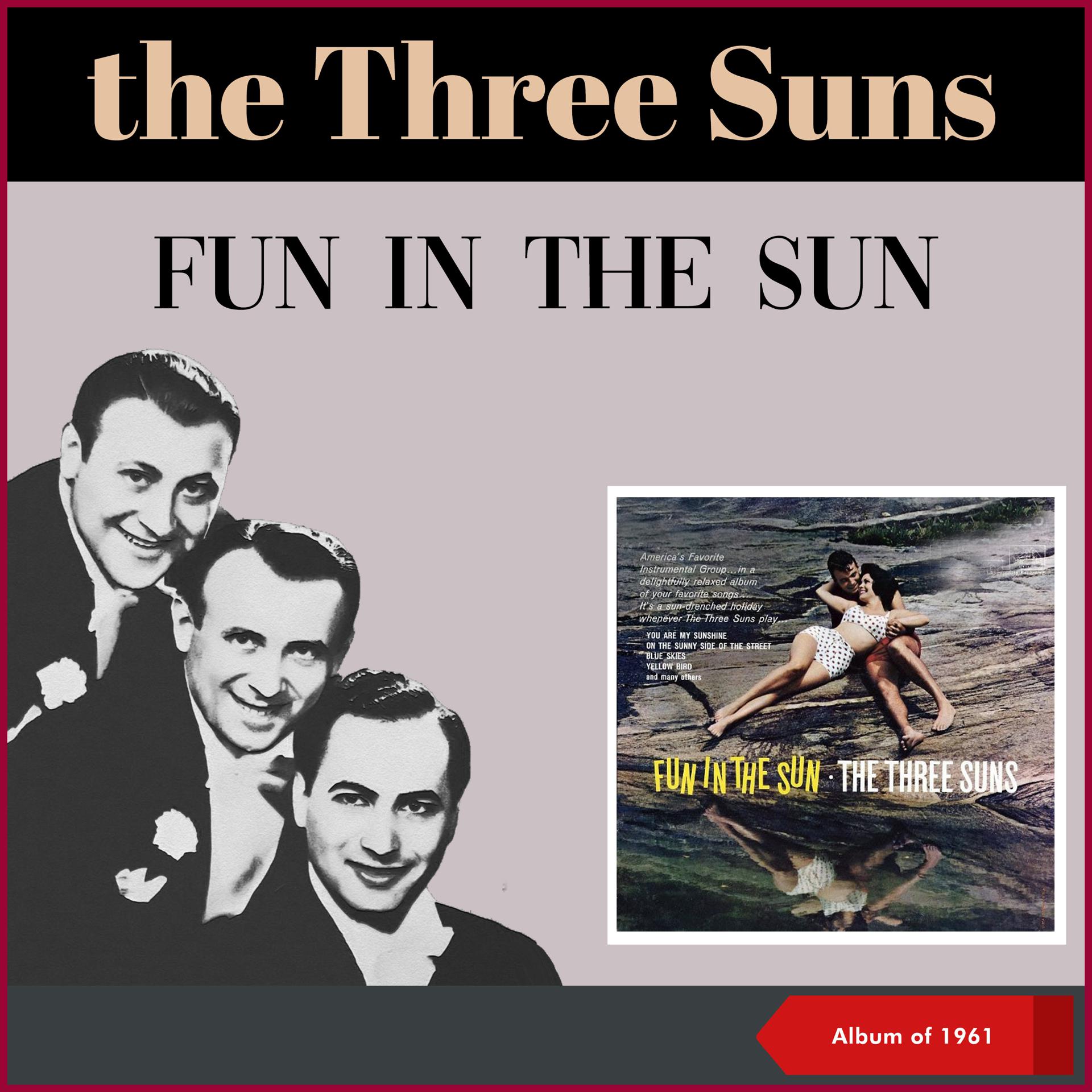 Постер альбома Fun in The Sun