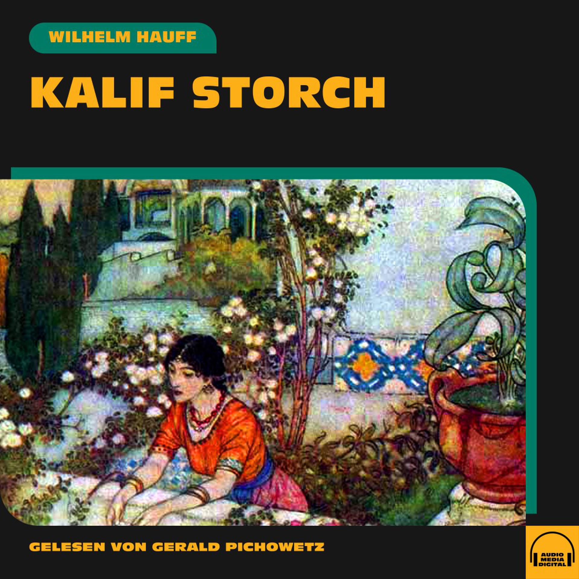 Постер альбома Kalif Storch