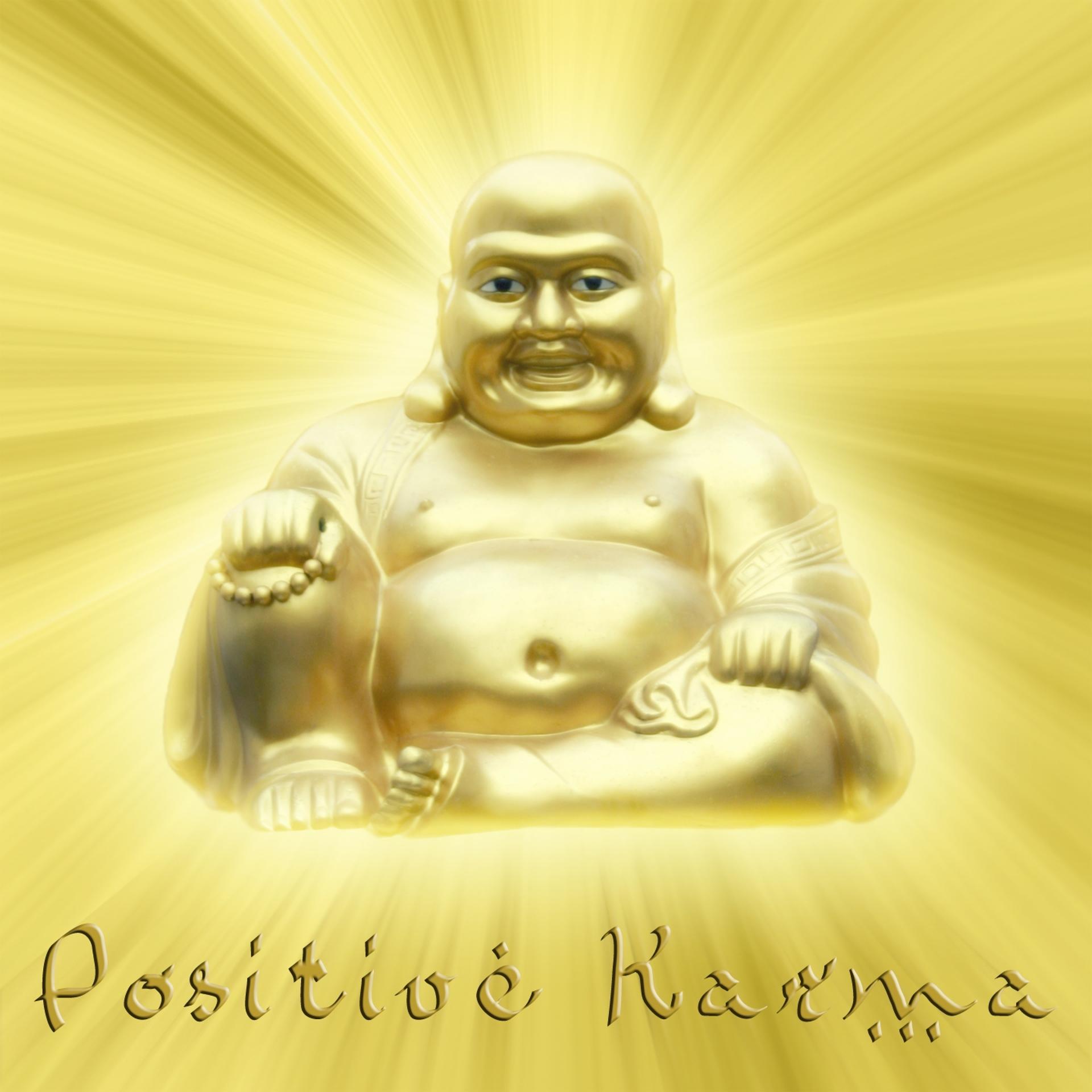 Постер альбома Positive Karma