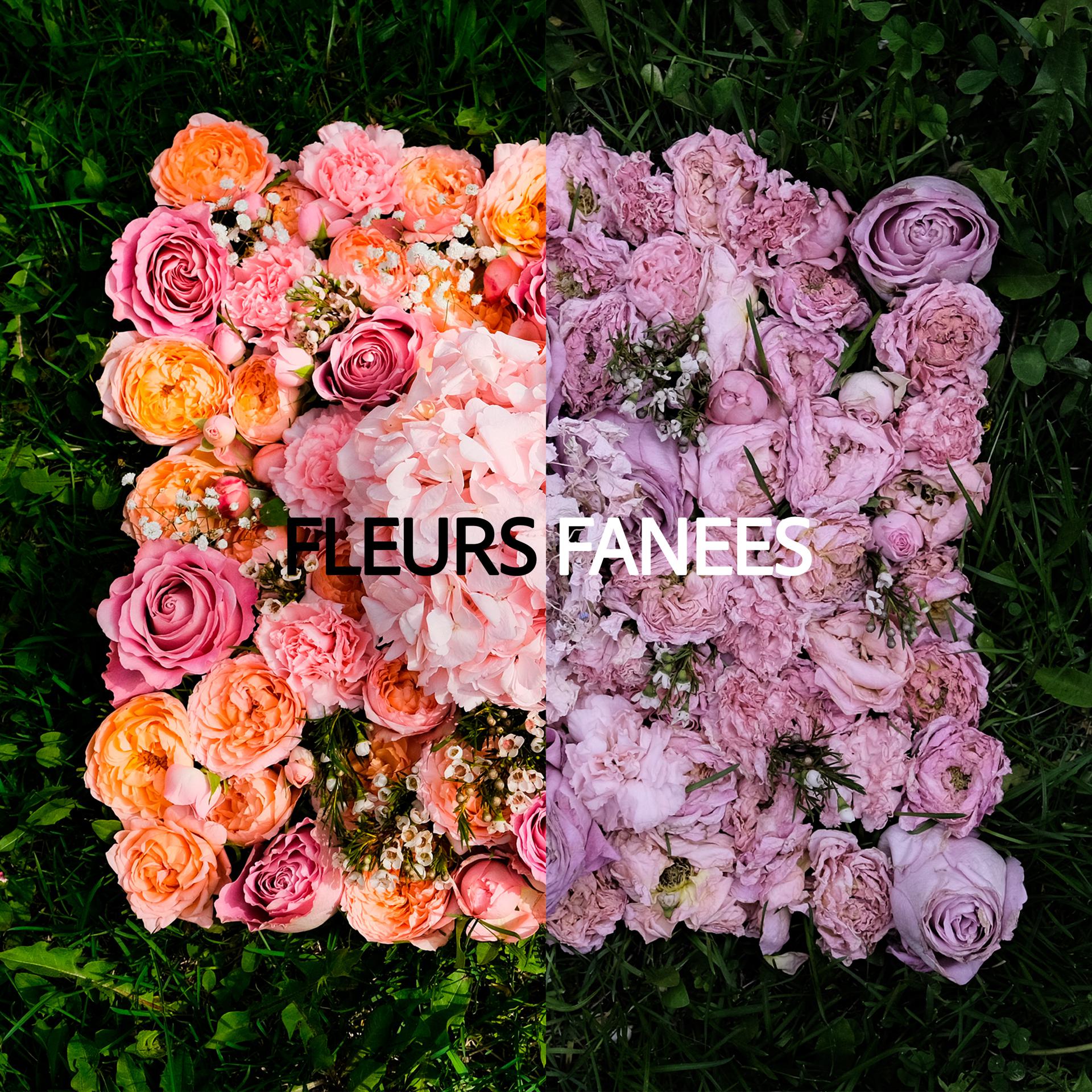 Постер альбома Fleurs fanees