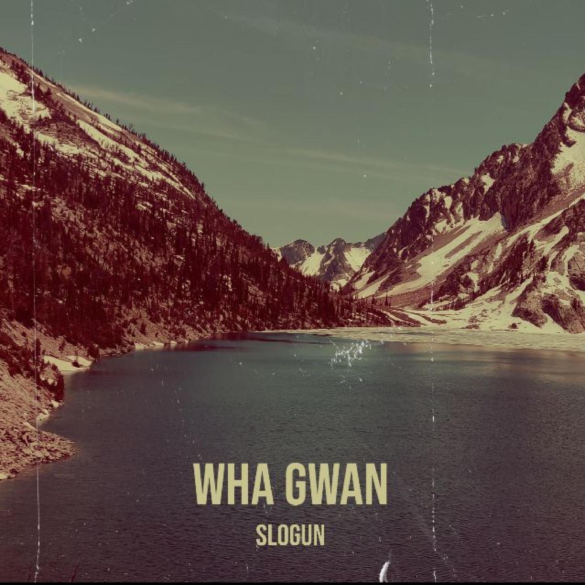 Постер альбома Wha gwan