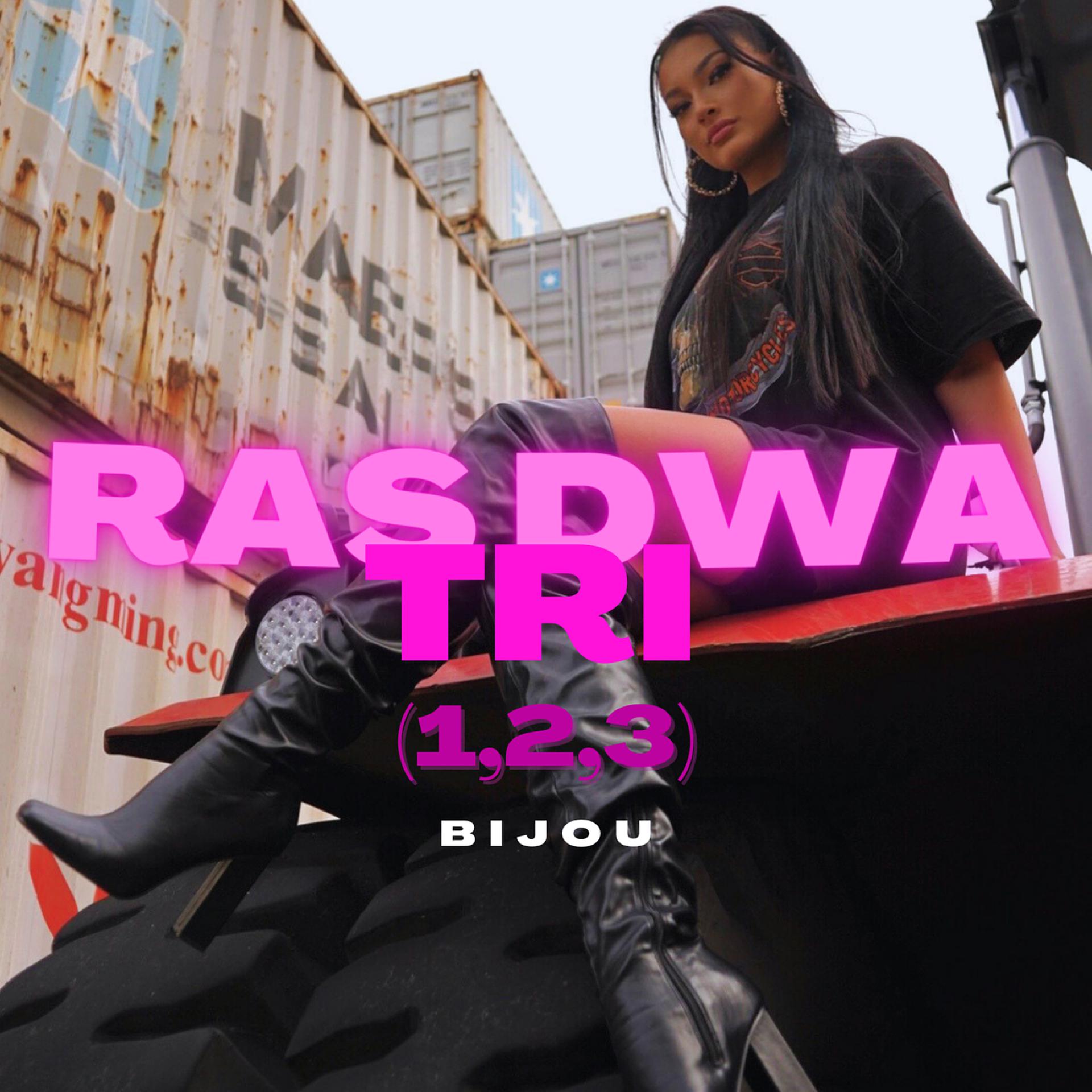 Постер альбома Ras Dwa Tri (1,2,3)