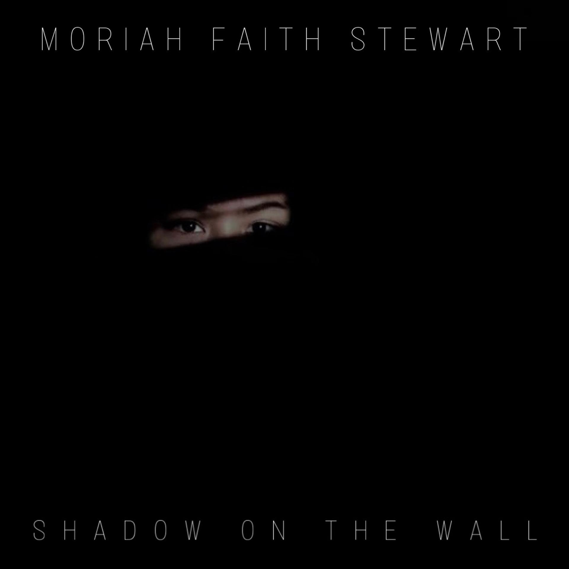 Постер альбома Shadow on the Wall