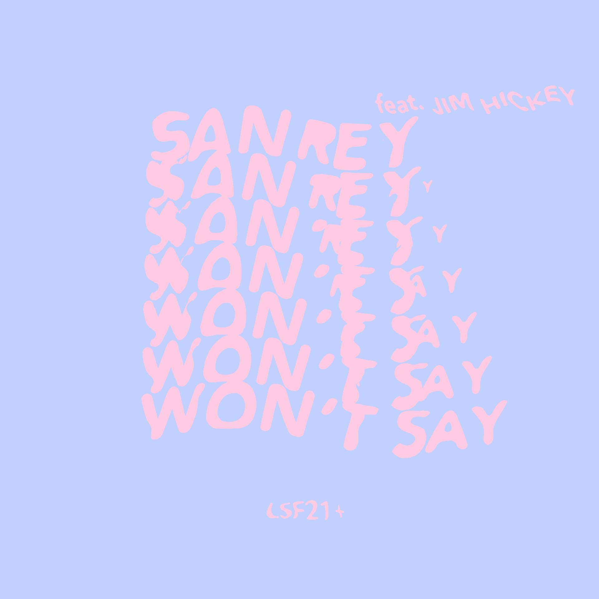 Постер альбома Won’t Say