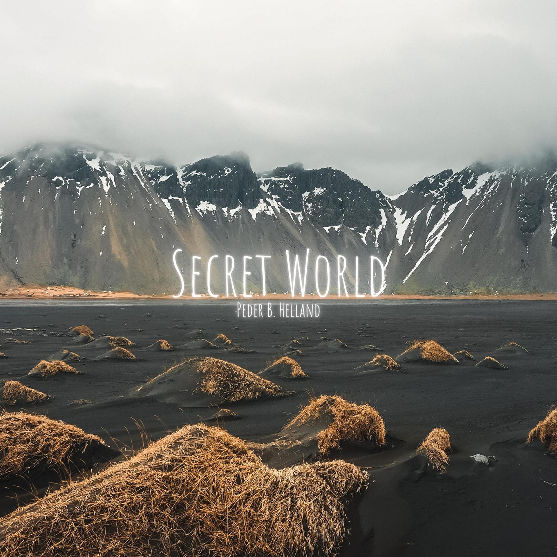 Постер альбома Secret World