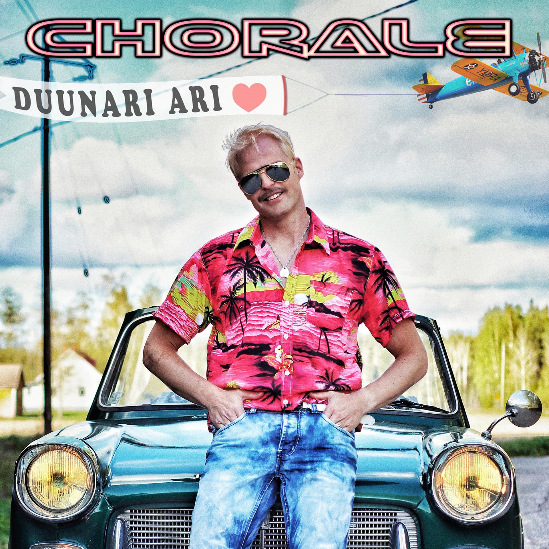 Постер альбома Duunari Ari