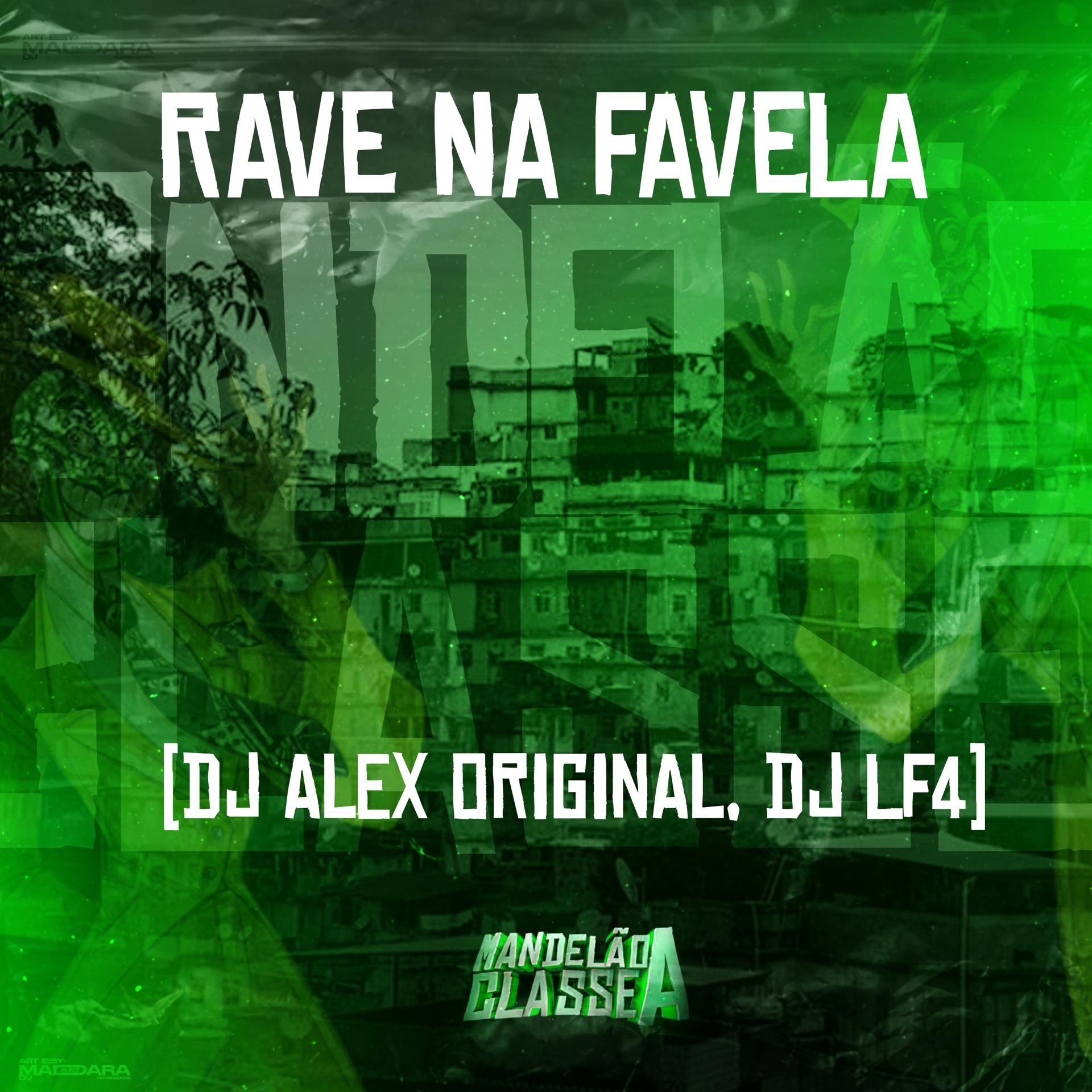 Постер альбома Rave na Favela