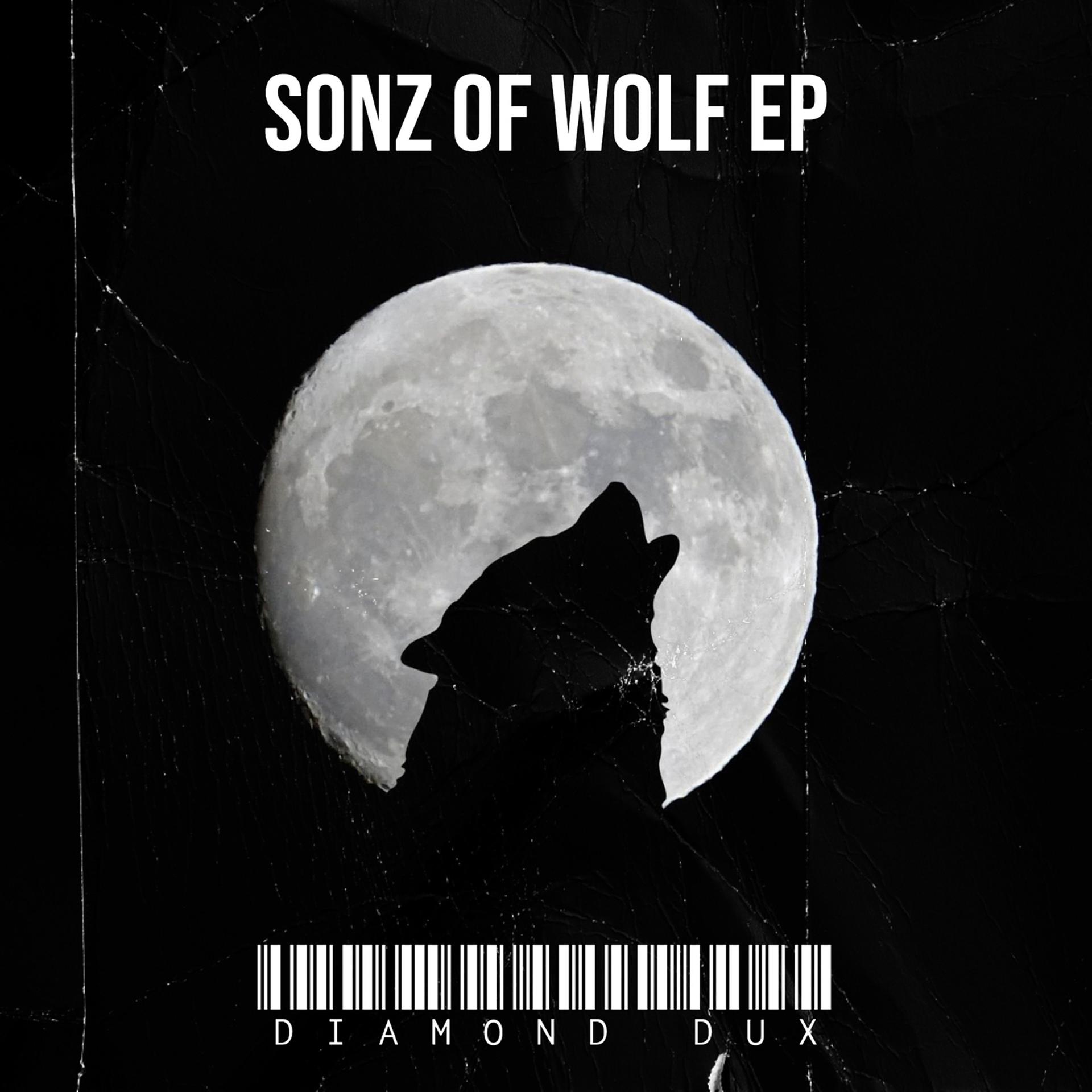 Постер альбома Sonz of Wolf -EP