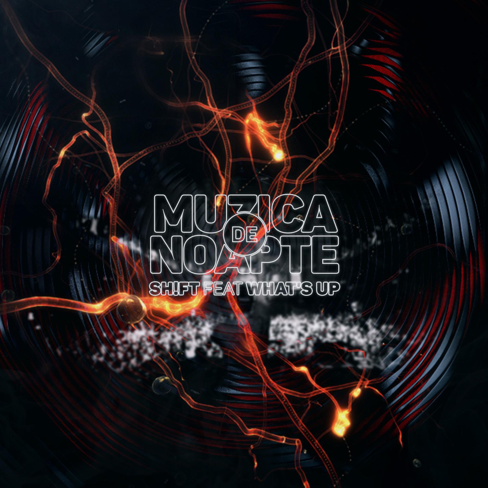 Постер альбома Muzica De Noapte