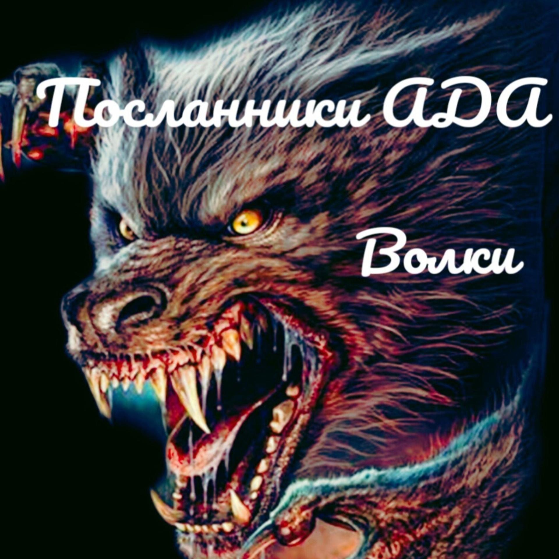 Постер альбома Волки