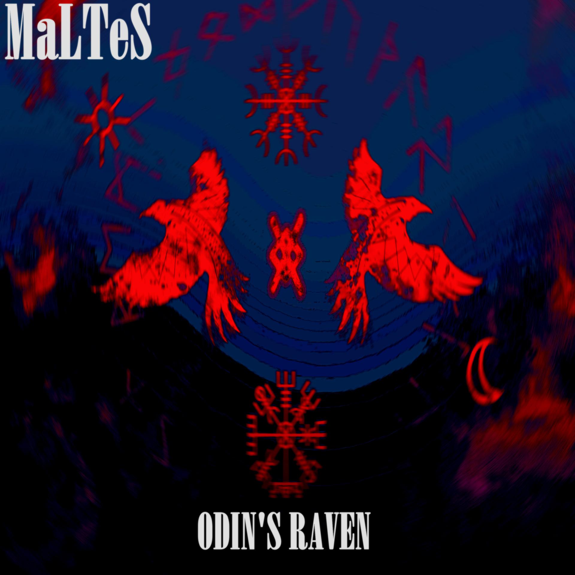 Постер альбома Odin's Raven