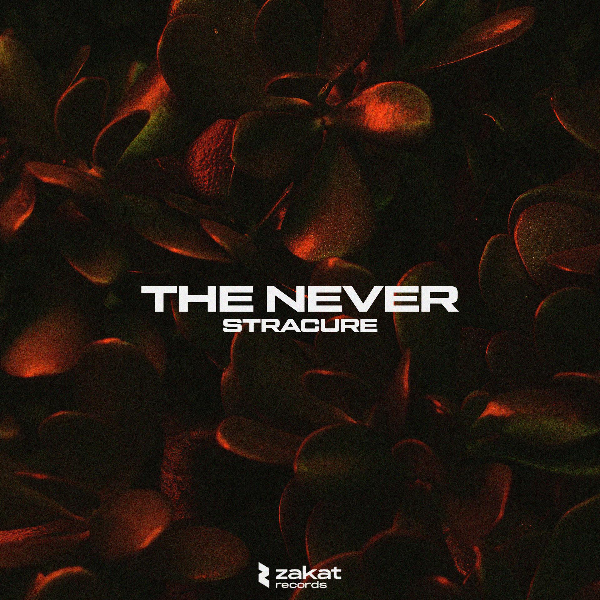 Постер альбома The Never