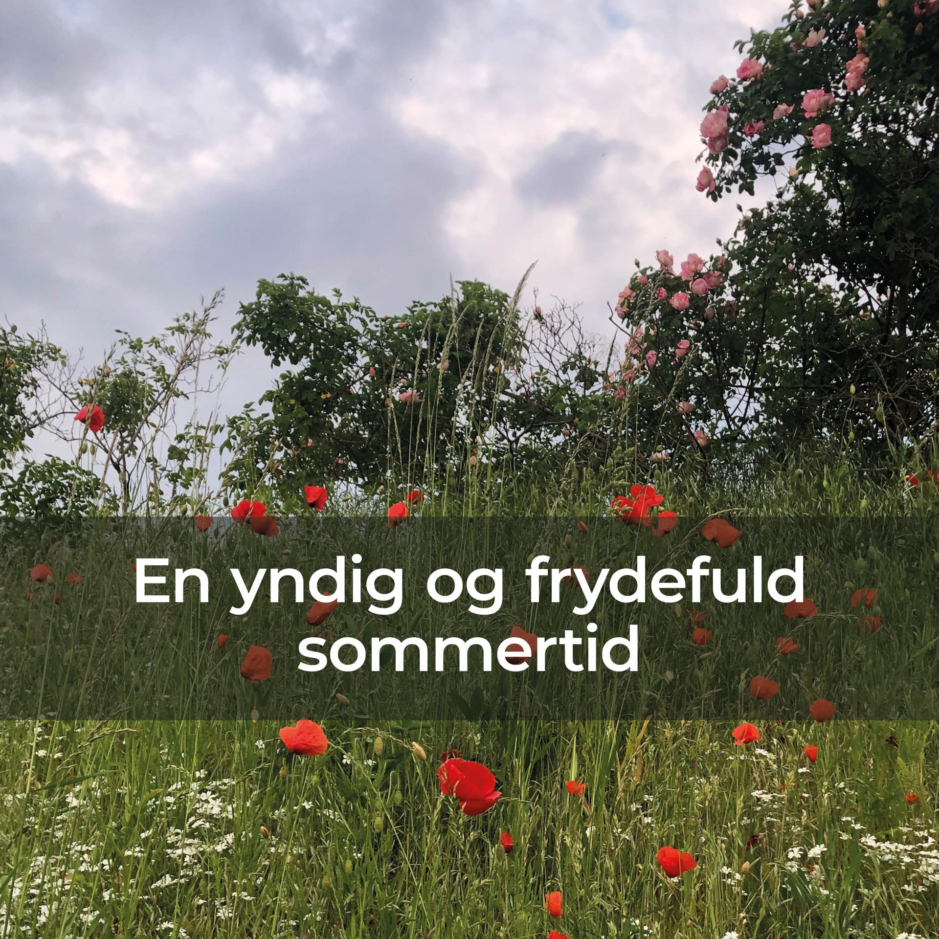 Постер альбома En yndig og frydefuld sommertid