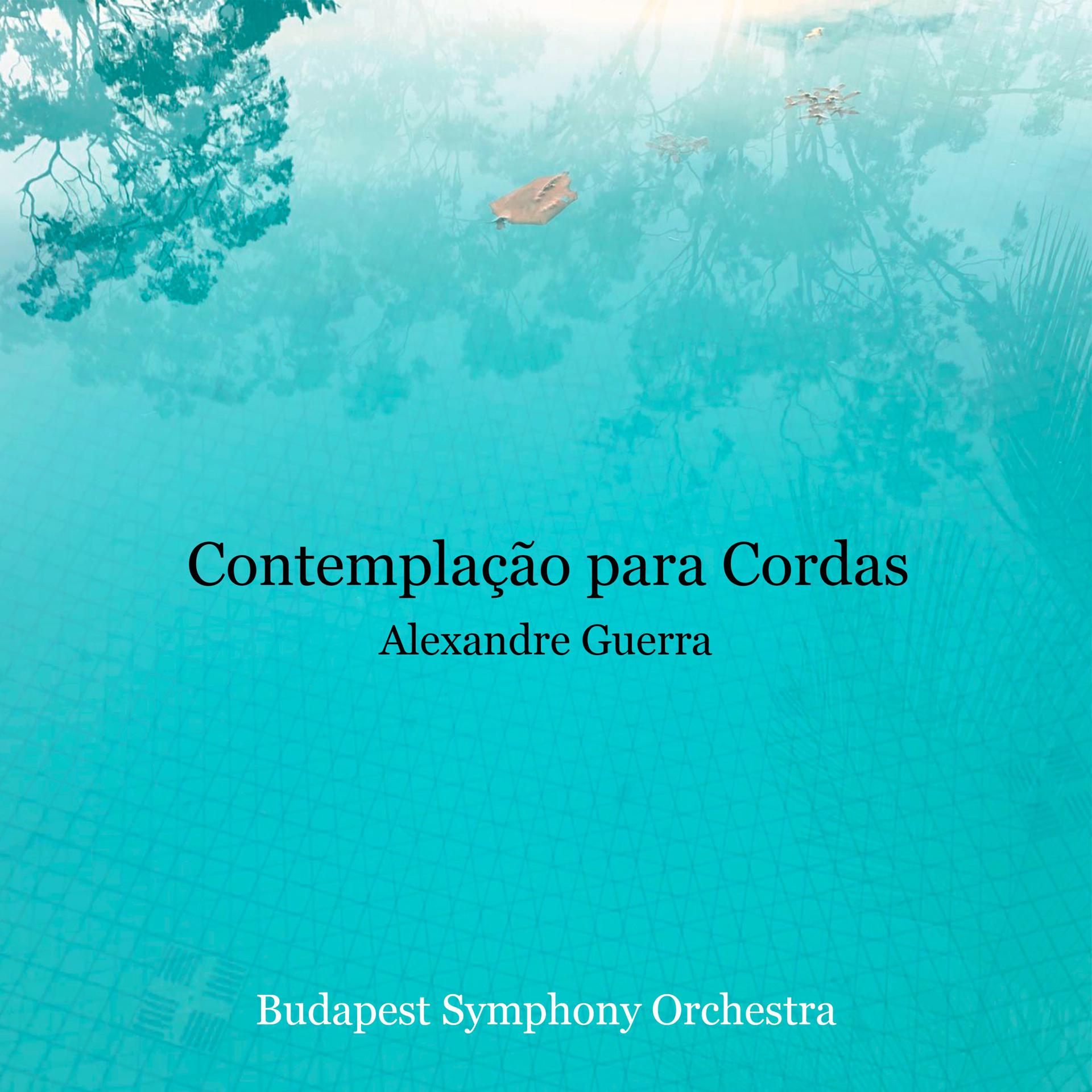 Постер альбома Contemplação para Cordas