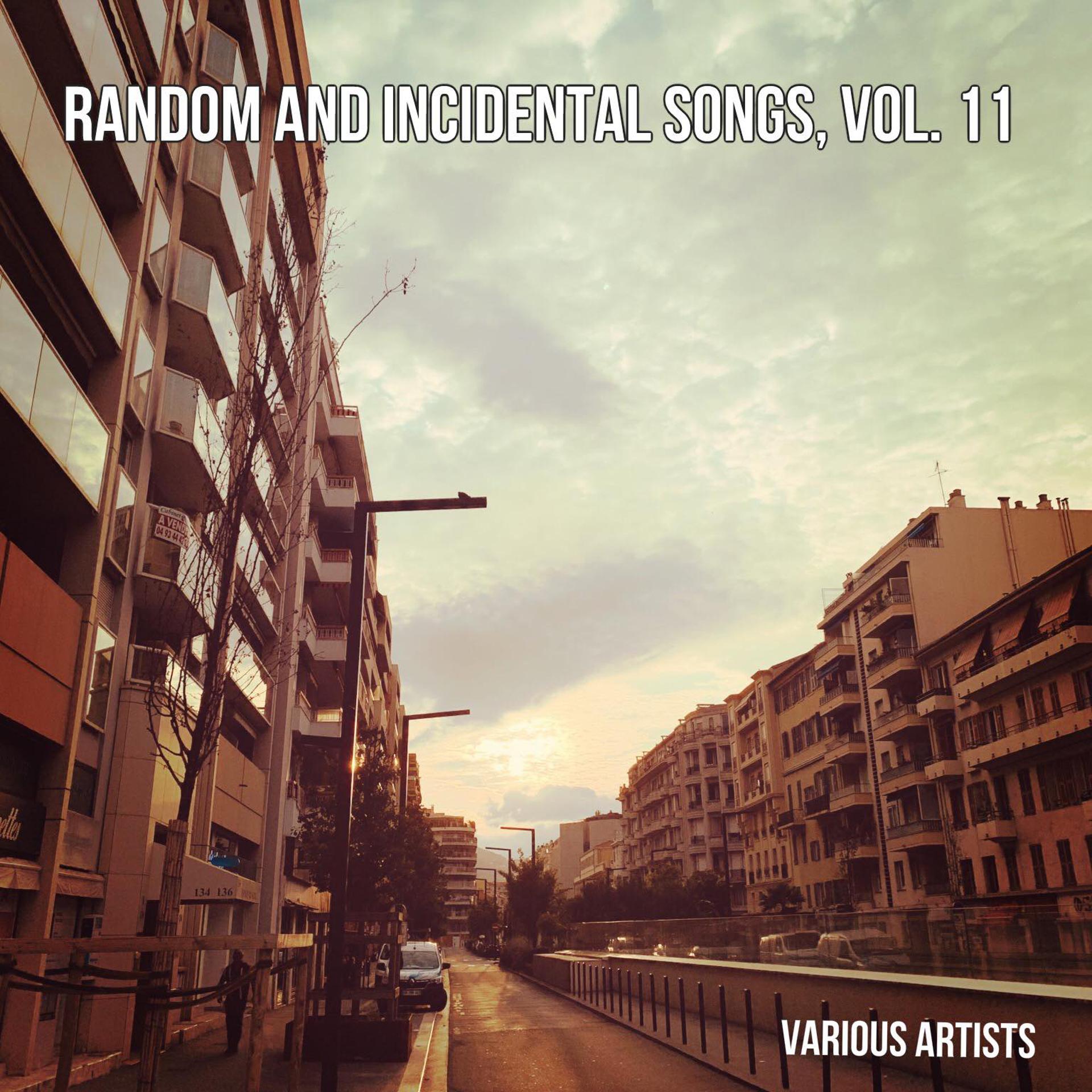 Постер альбома Random and Incidental Songs, Vol. 11