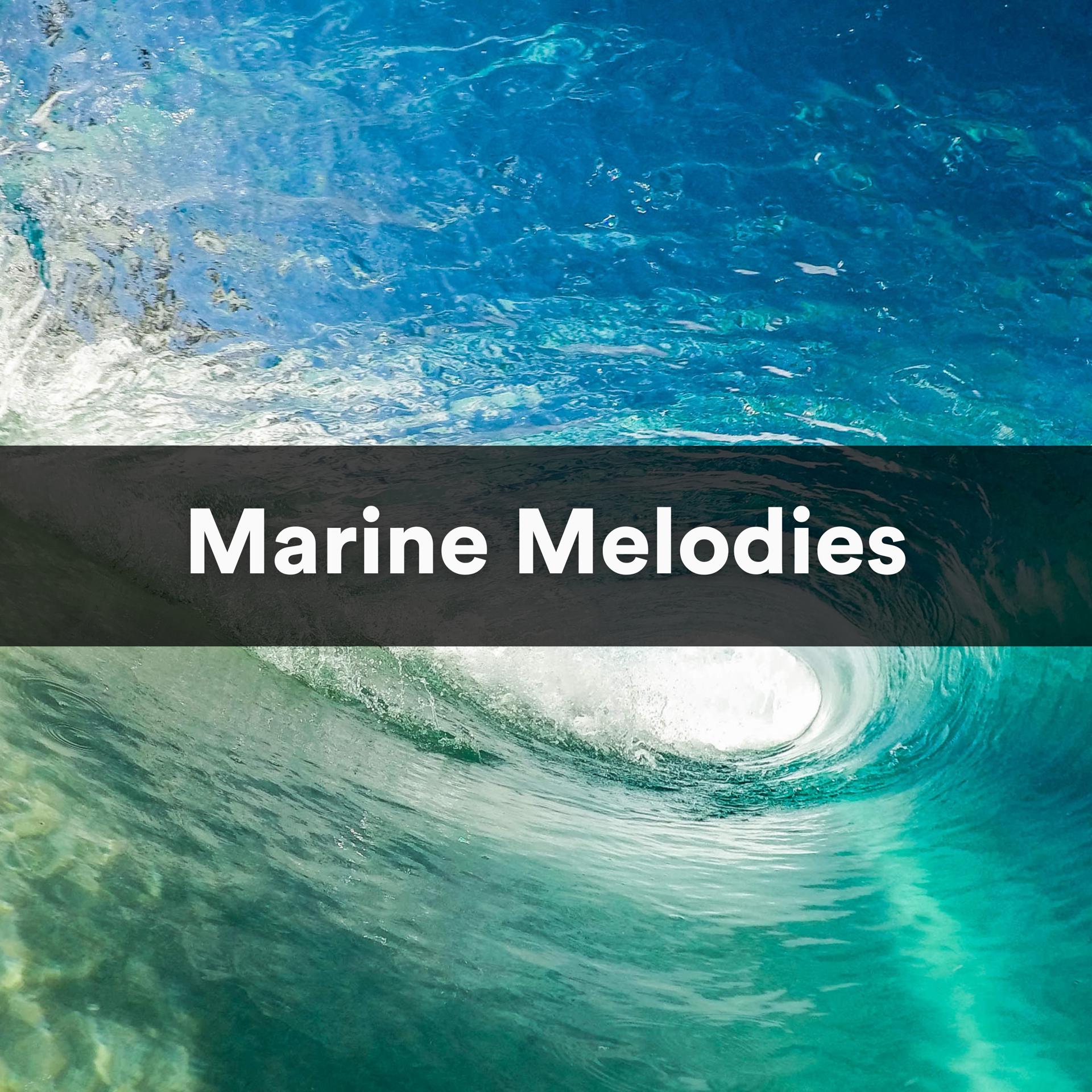 Постер альбома Marine Melodies