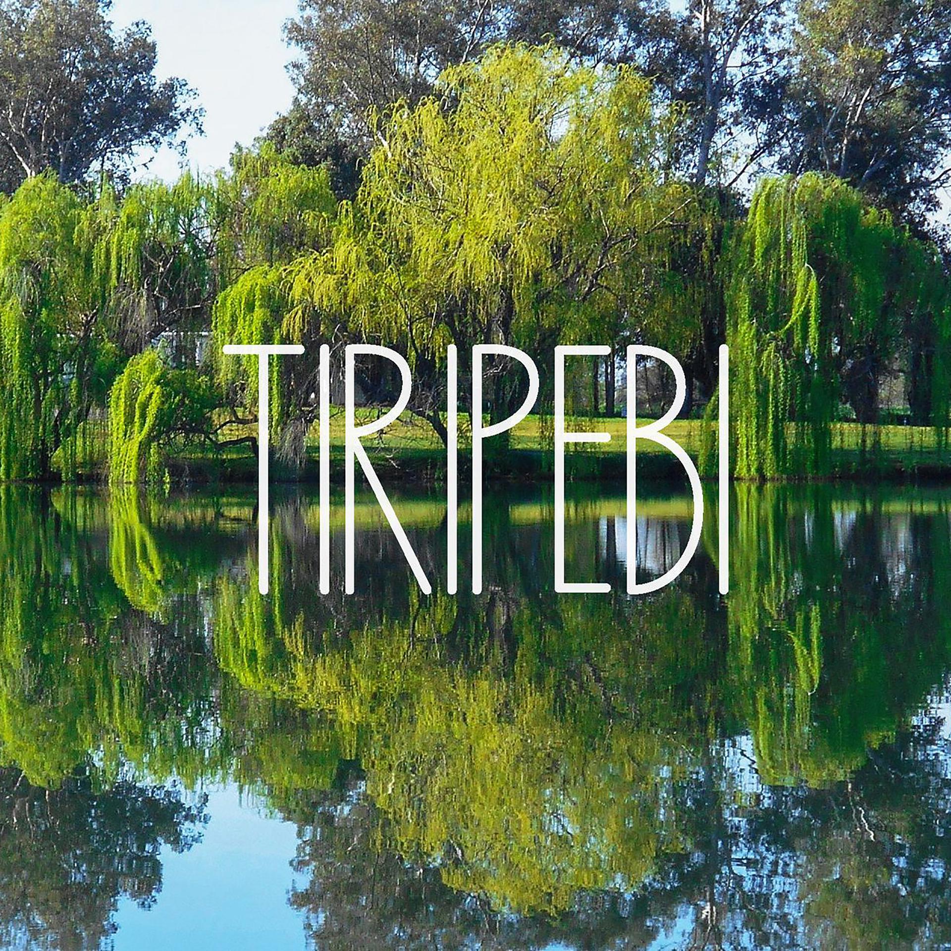 Постер альбома Tiripebi