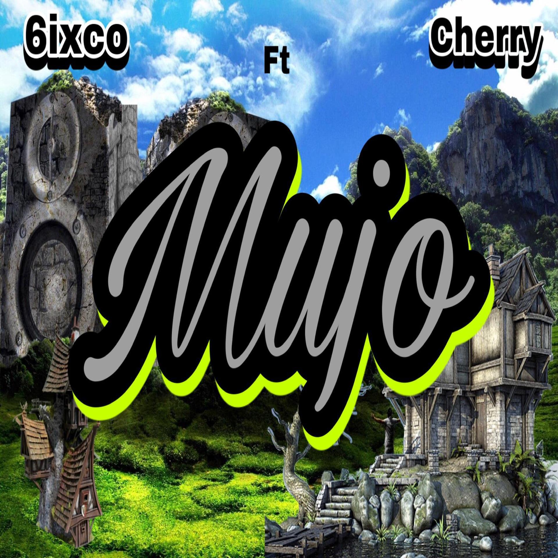 Постер альбома Mujo (feat. Cherry)