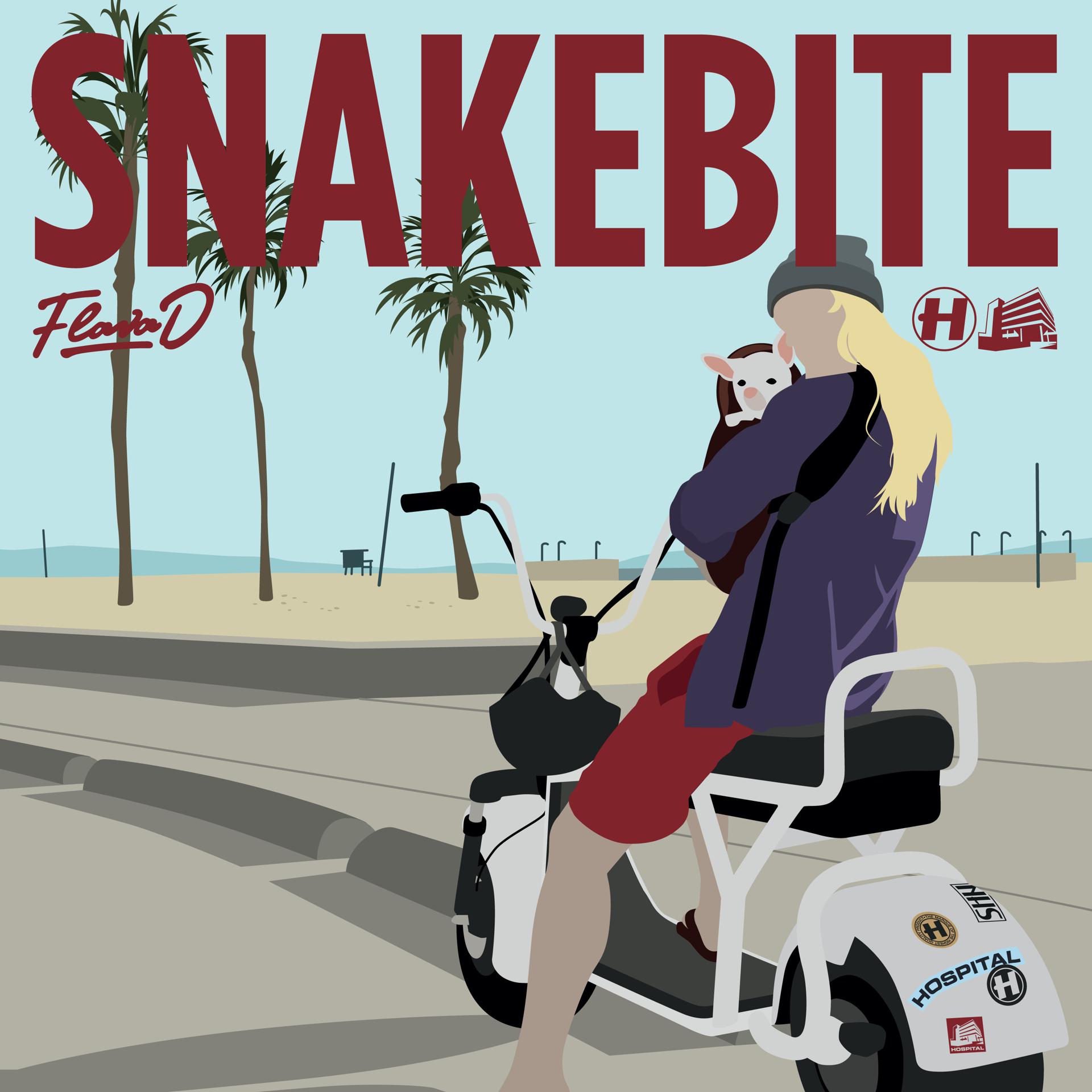 Постер альбома Snakebite / Springloaded