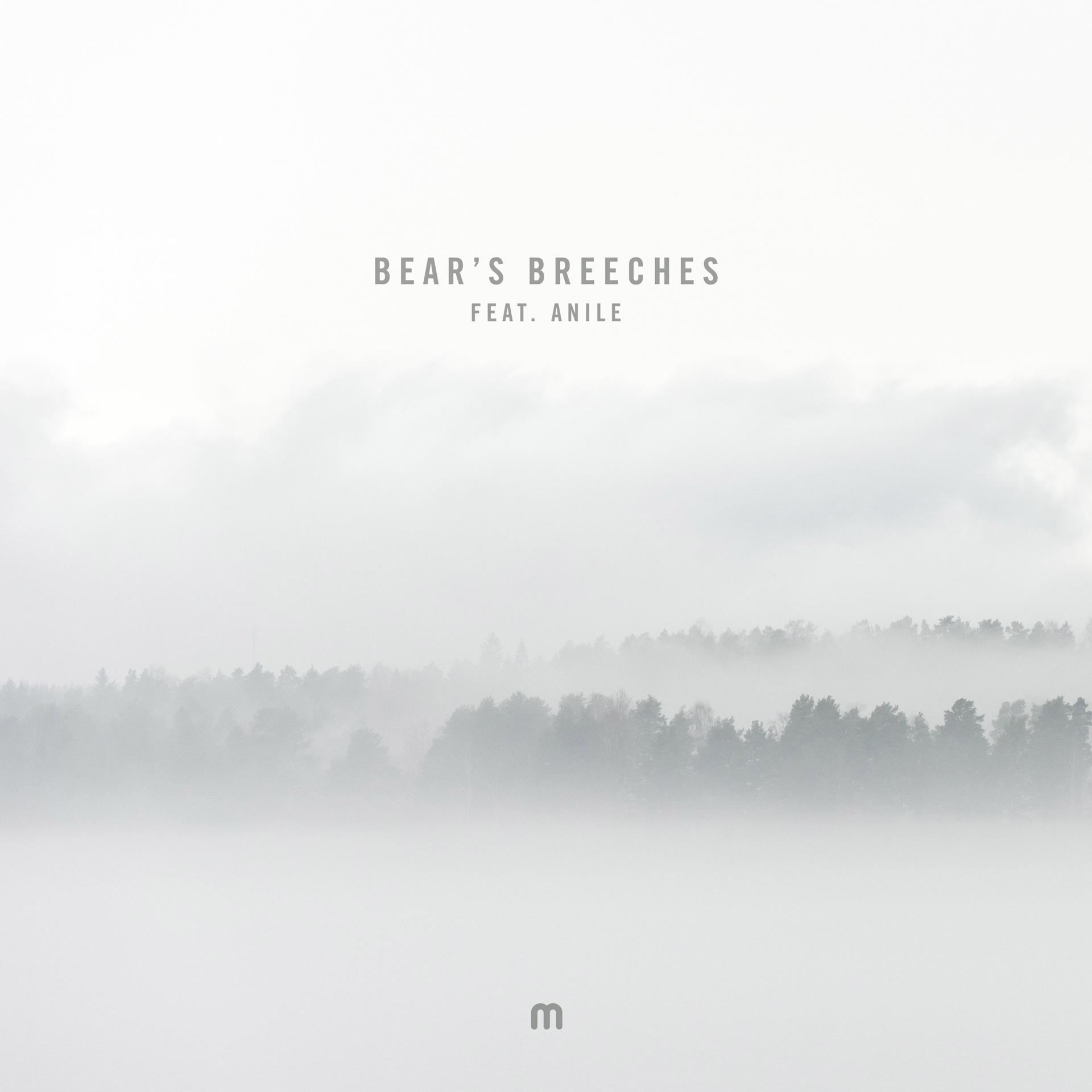 Постер альбома Bear's Breeches