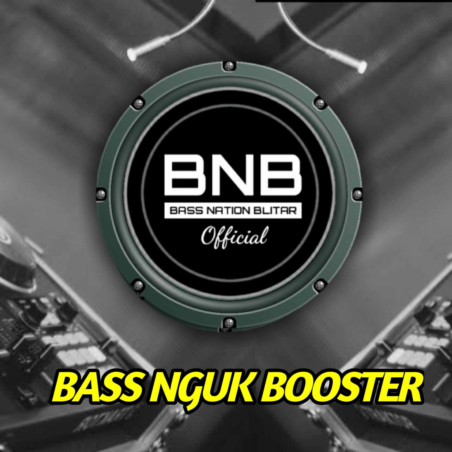Постер альбома Bass Nguk Booster