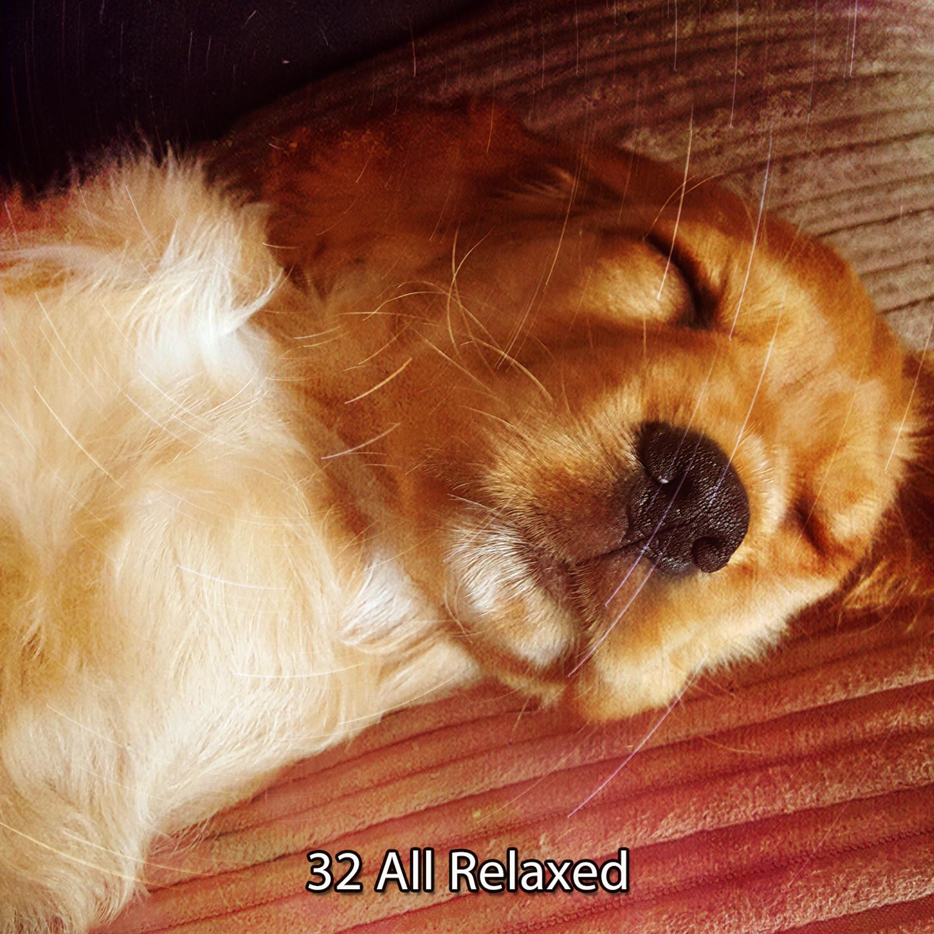 Постер альбома 32 All Relaxed