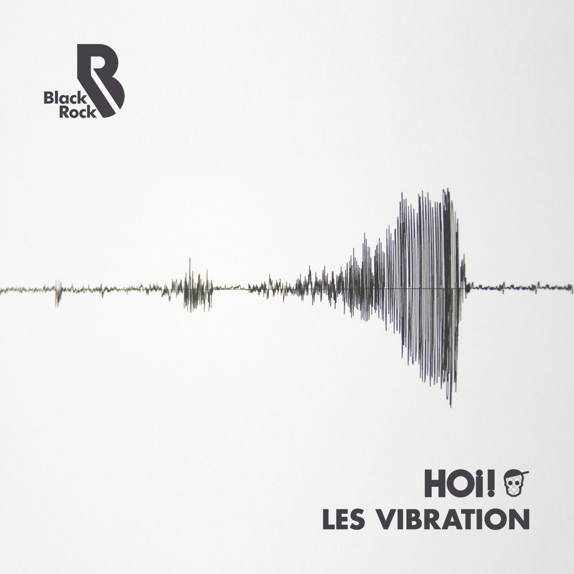 Постер альбома Les Vibration