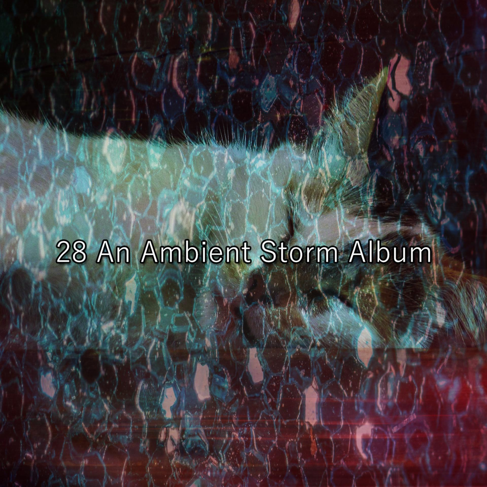 Постер альбома 28 An Ambient Storm Album