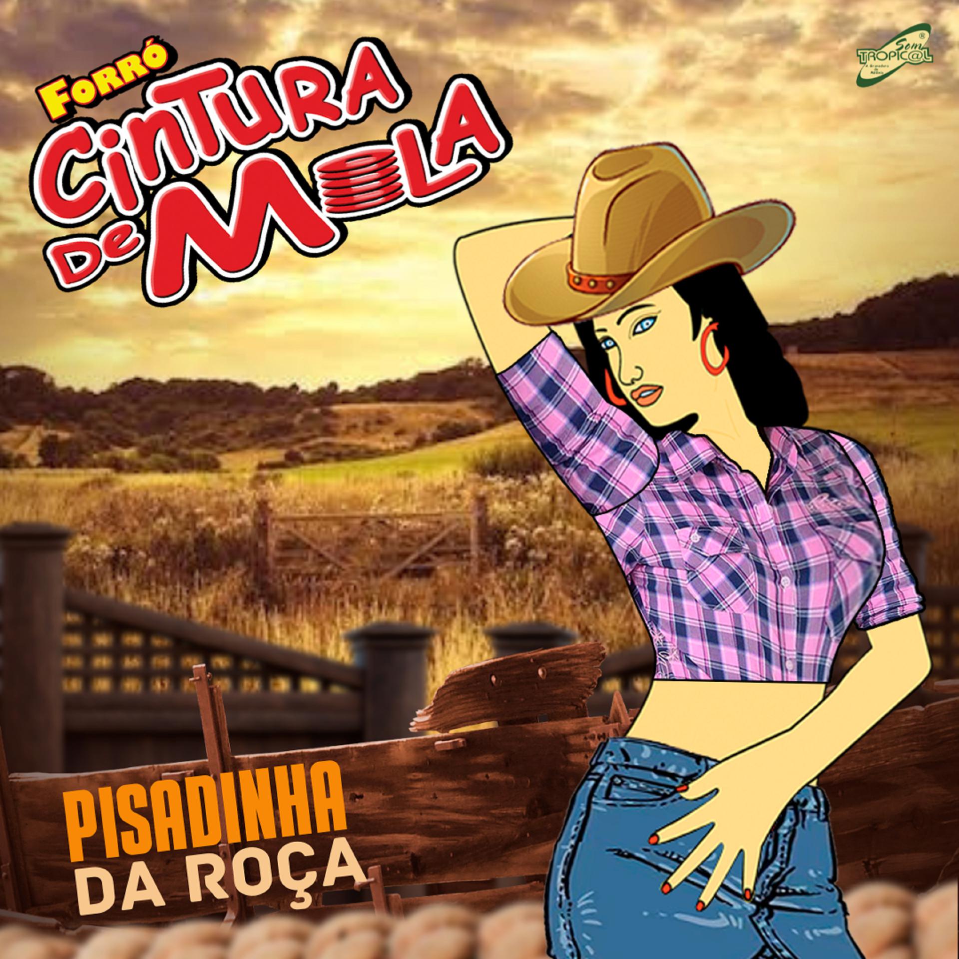 Постер альбома Na Pisadinha da Roça