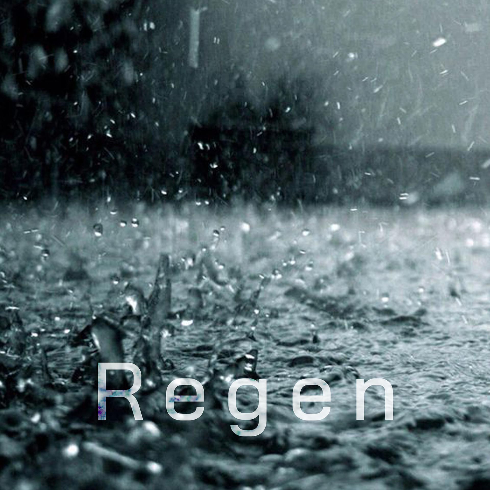Постер альбома Regen