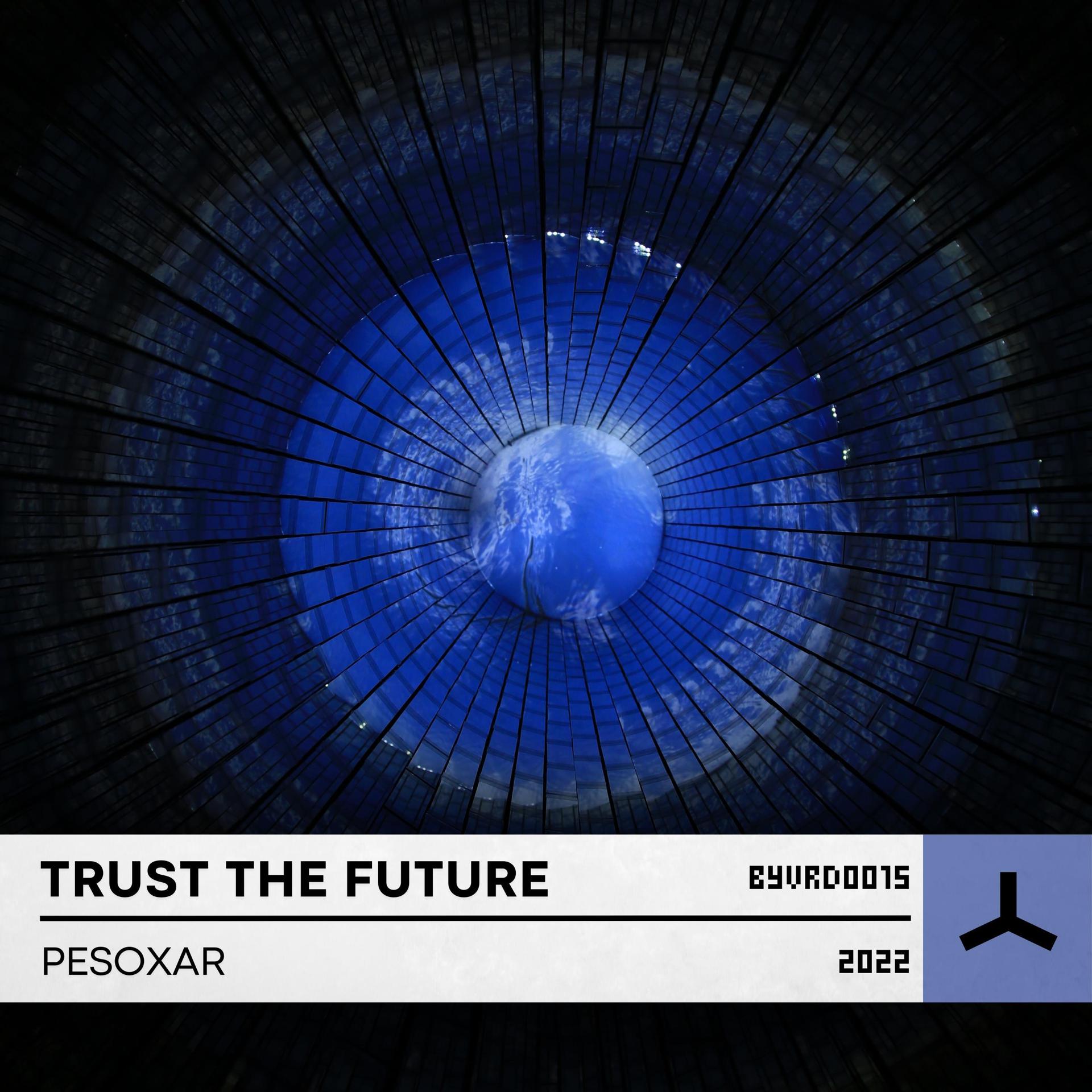 Постер альбома Trust the Future