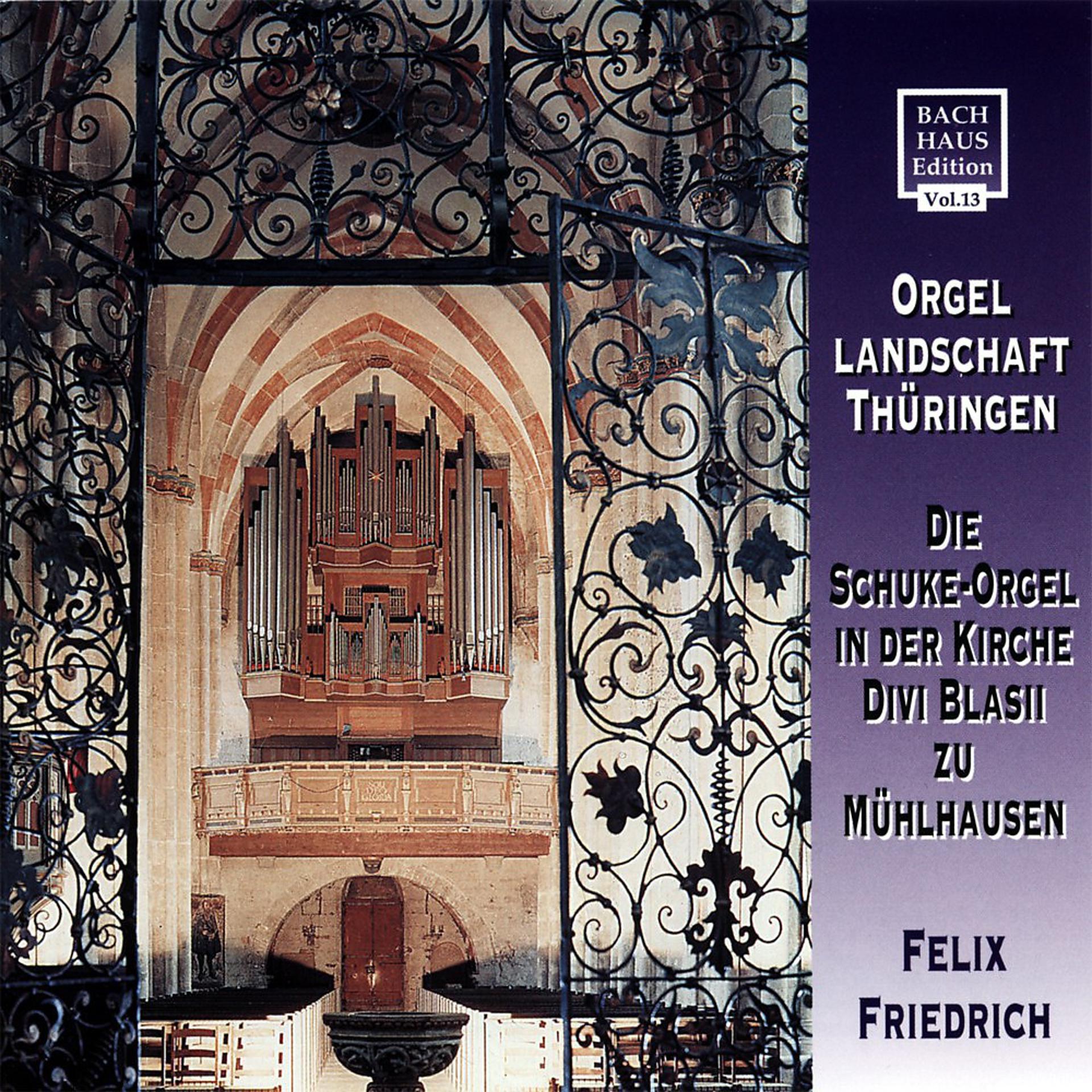 Постер альбома Orgellandschaft Thueringen - Die Schuke-Orgel in Der Kirche Divi Blasii Zu Muehlhausen