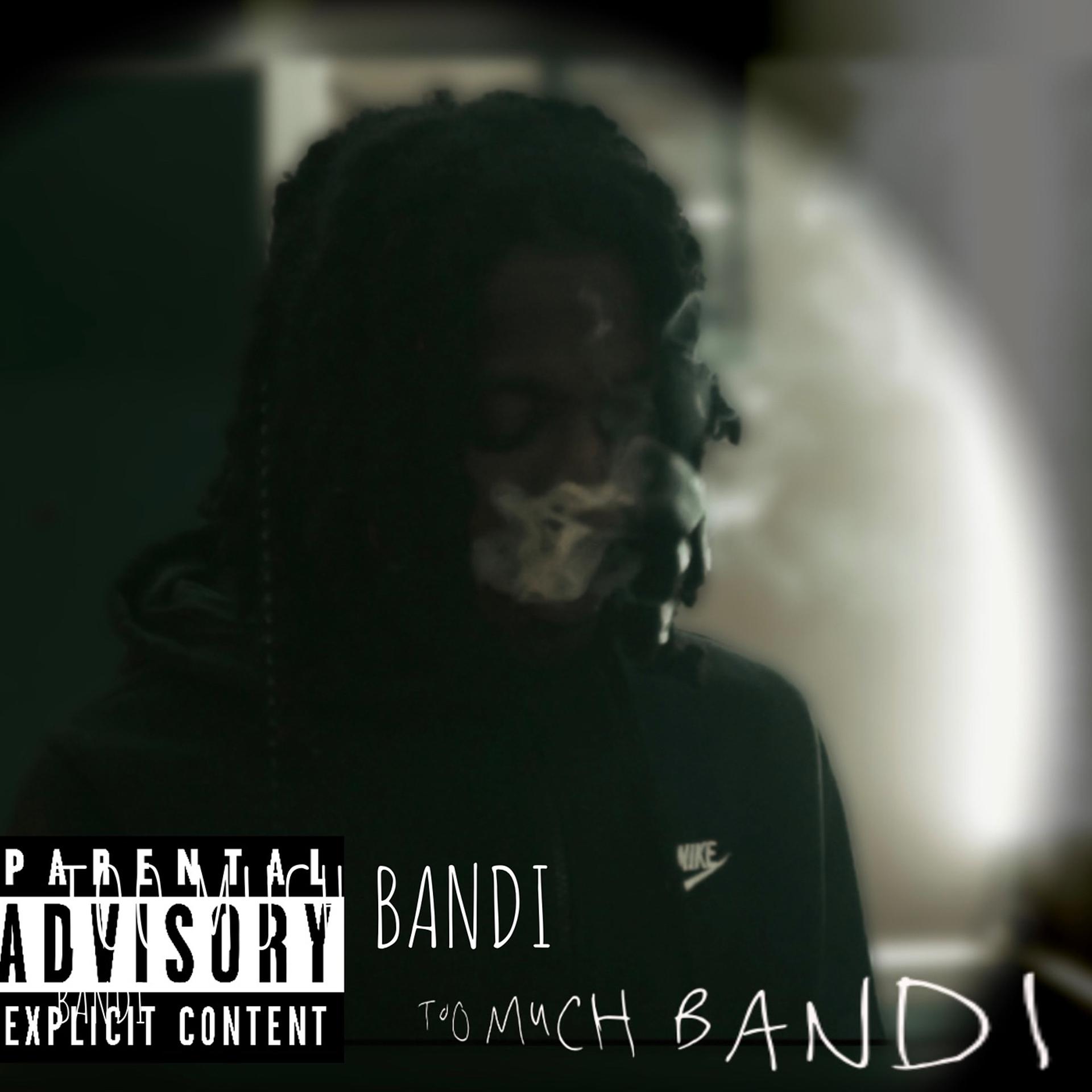 Постер альбома Too Much Bandi