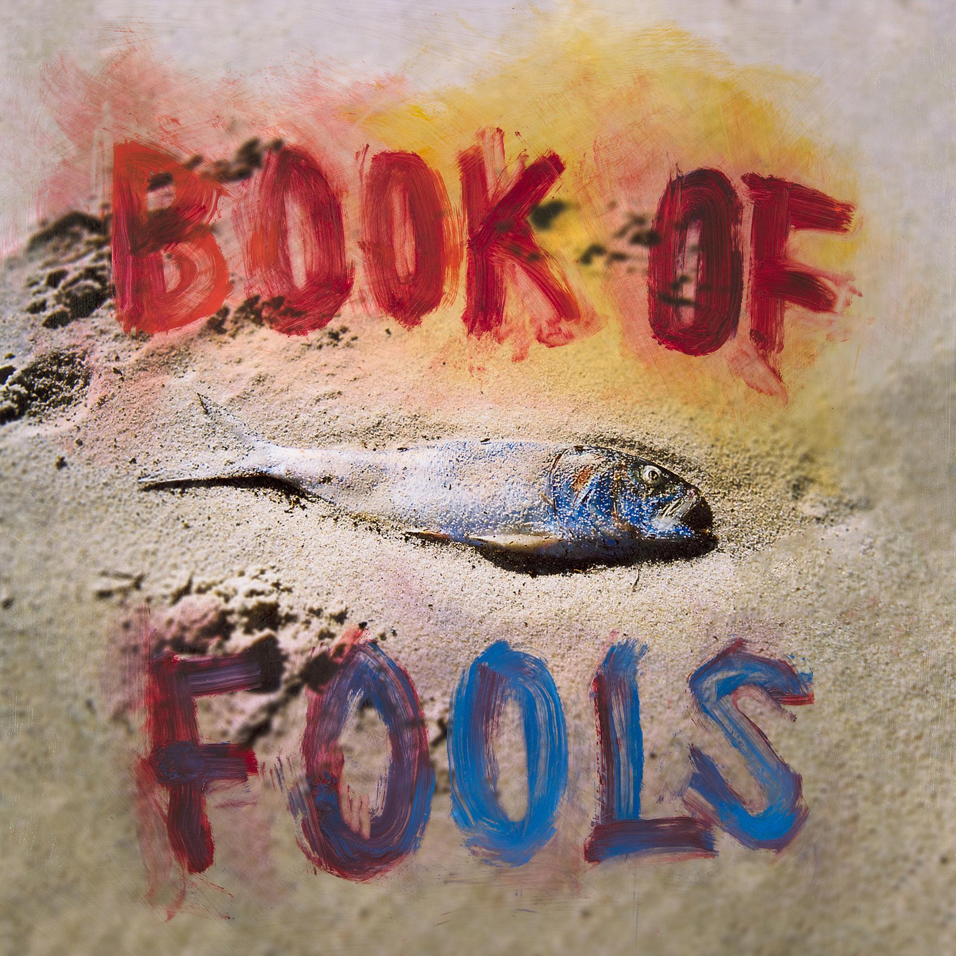 Постер альбома Book of Fools
