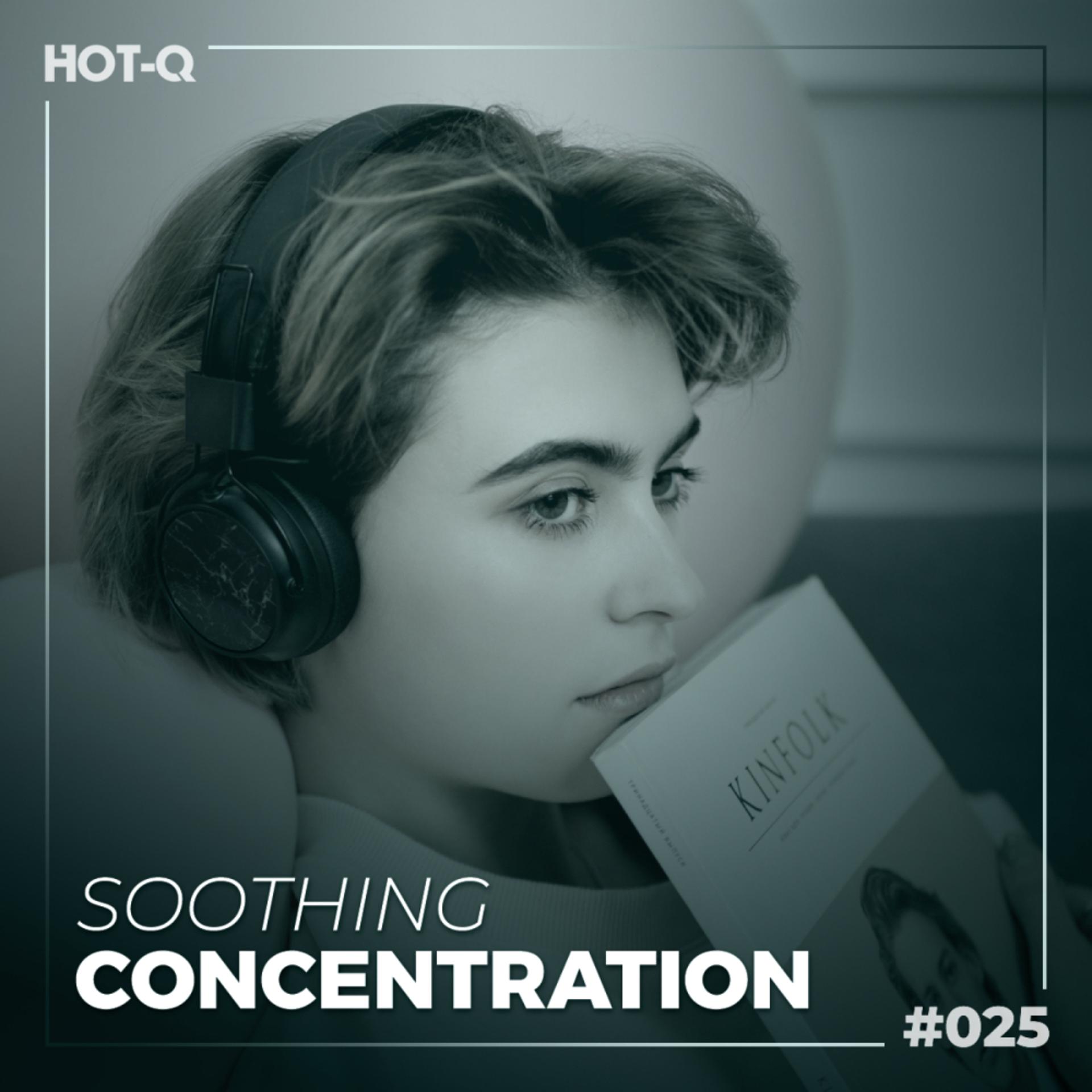 Постер альбома Soothing Concentration 025