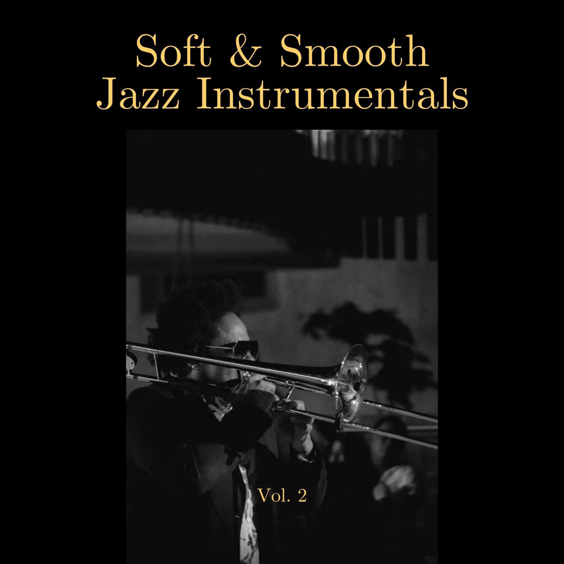 Постер альбома Soft & Smooth Jazz Instrumentals, Vol. 02