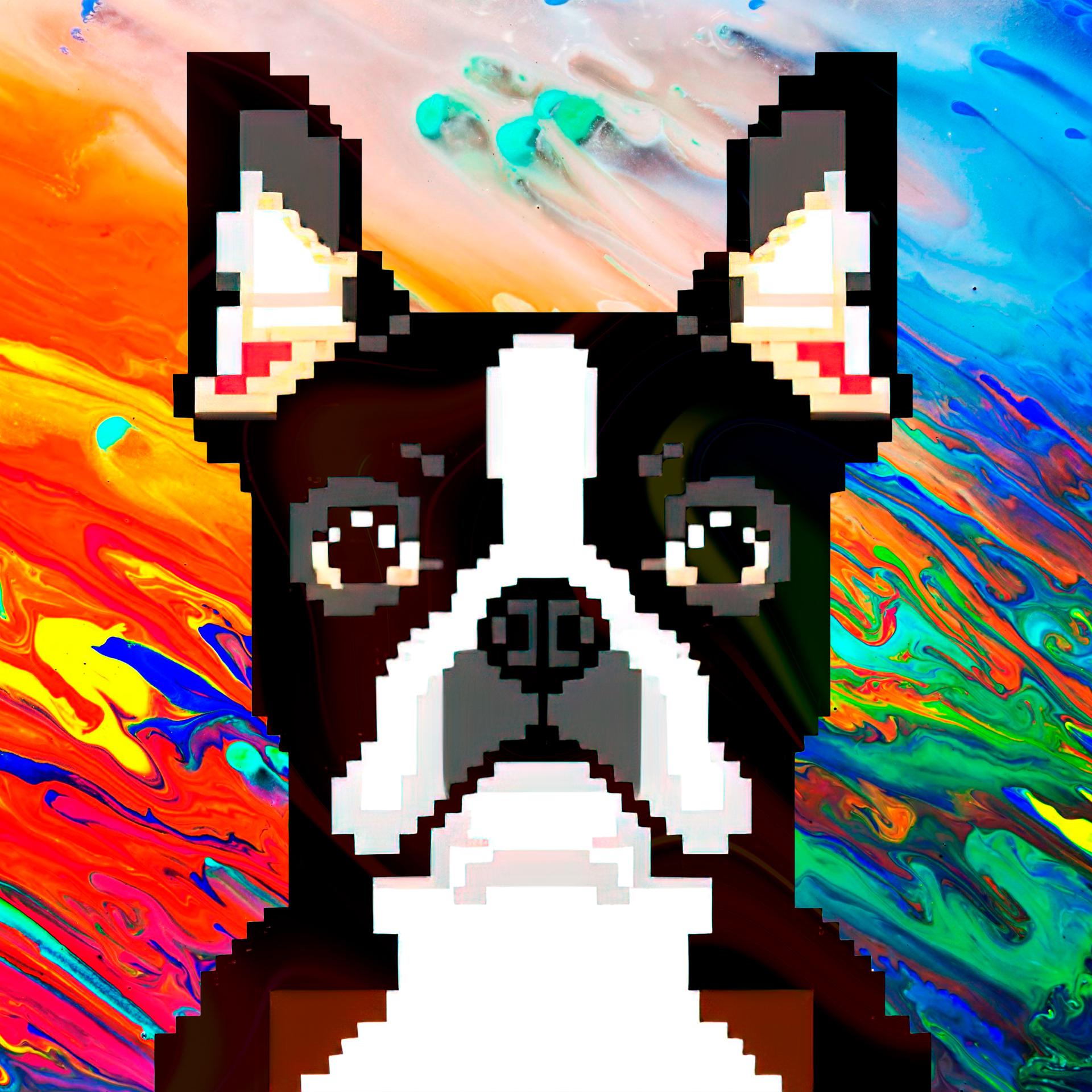 Постер альбома Pixel Crypto Dog
