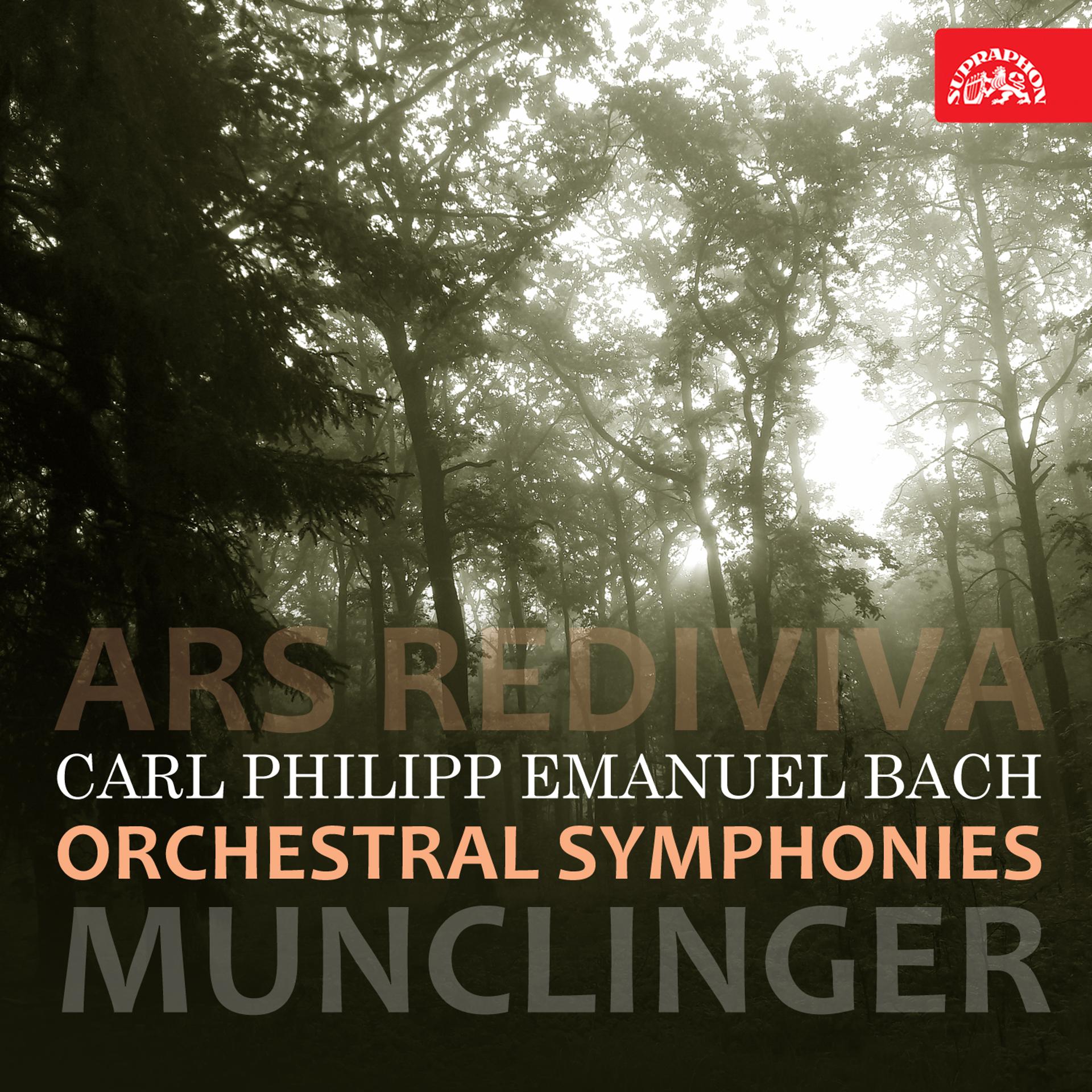 Постер альбома Bach: Orchestral Symphonies