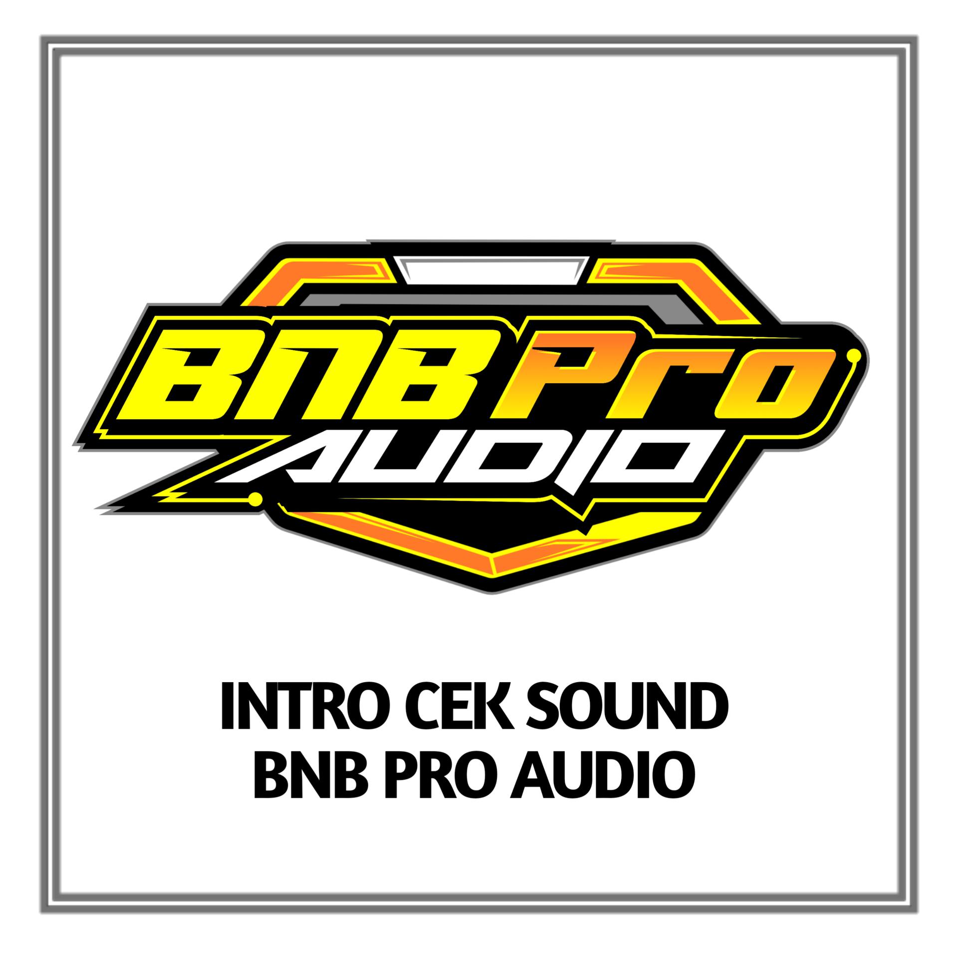 Постер альбома Intro Cek Sound BNB Pro Audio